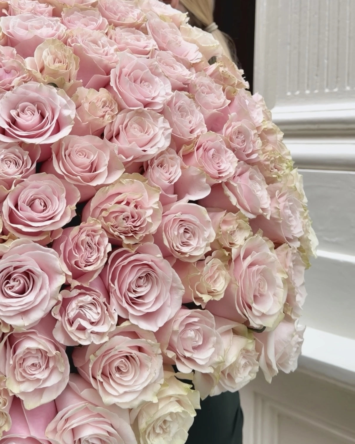 Rose cloud