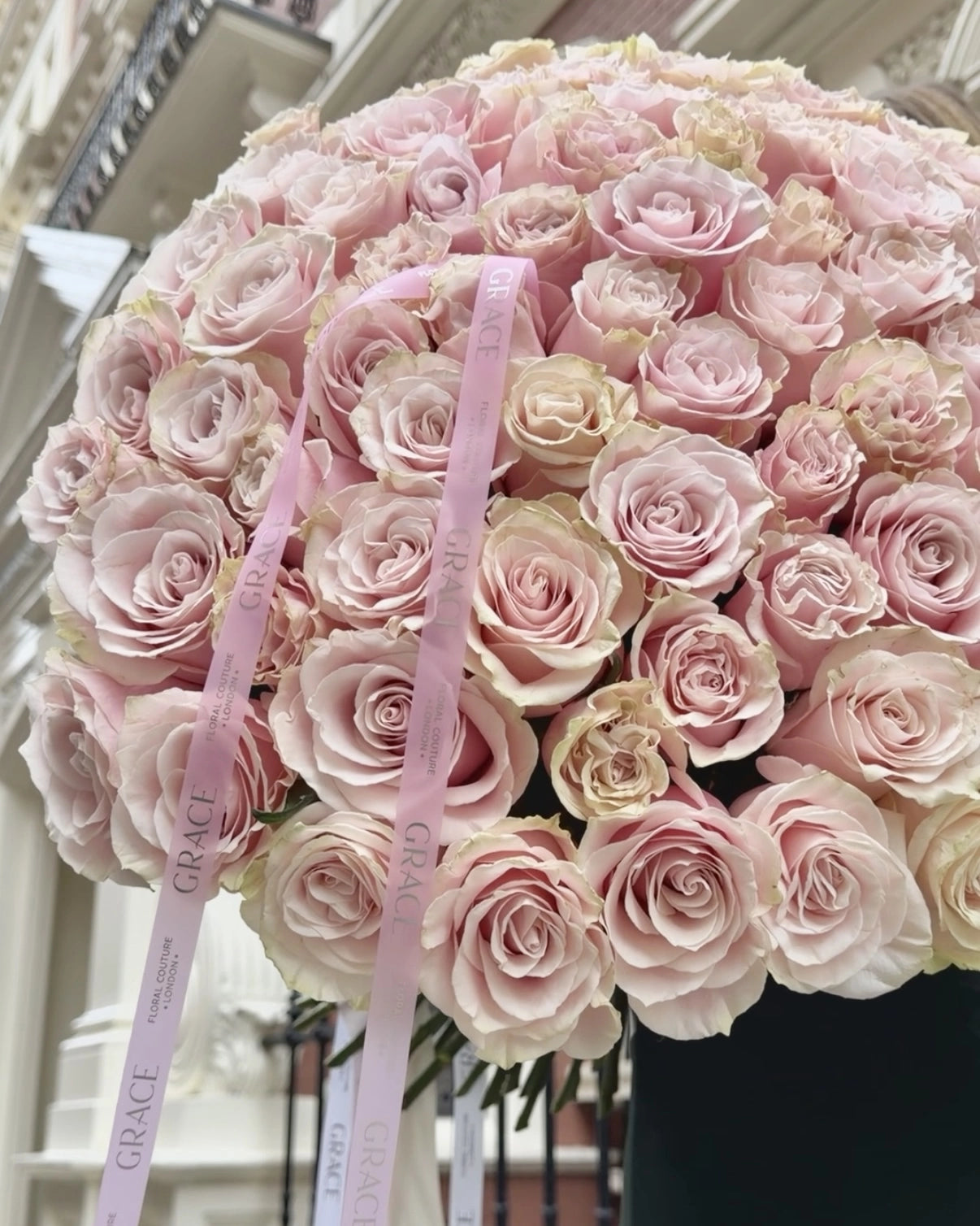 Rose cloud