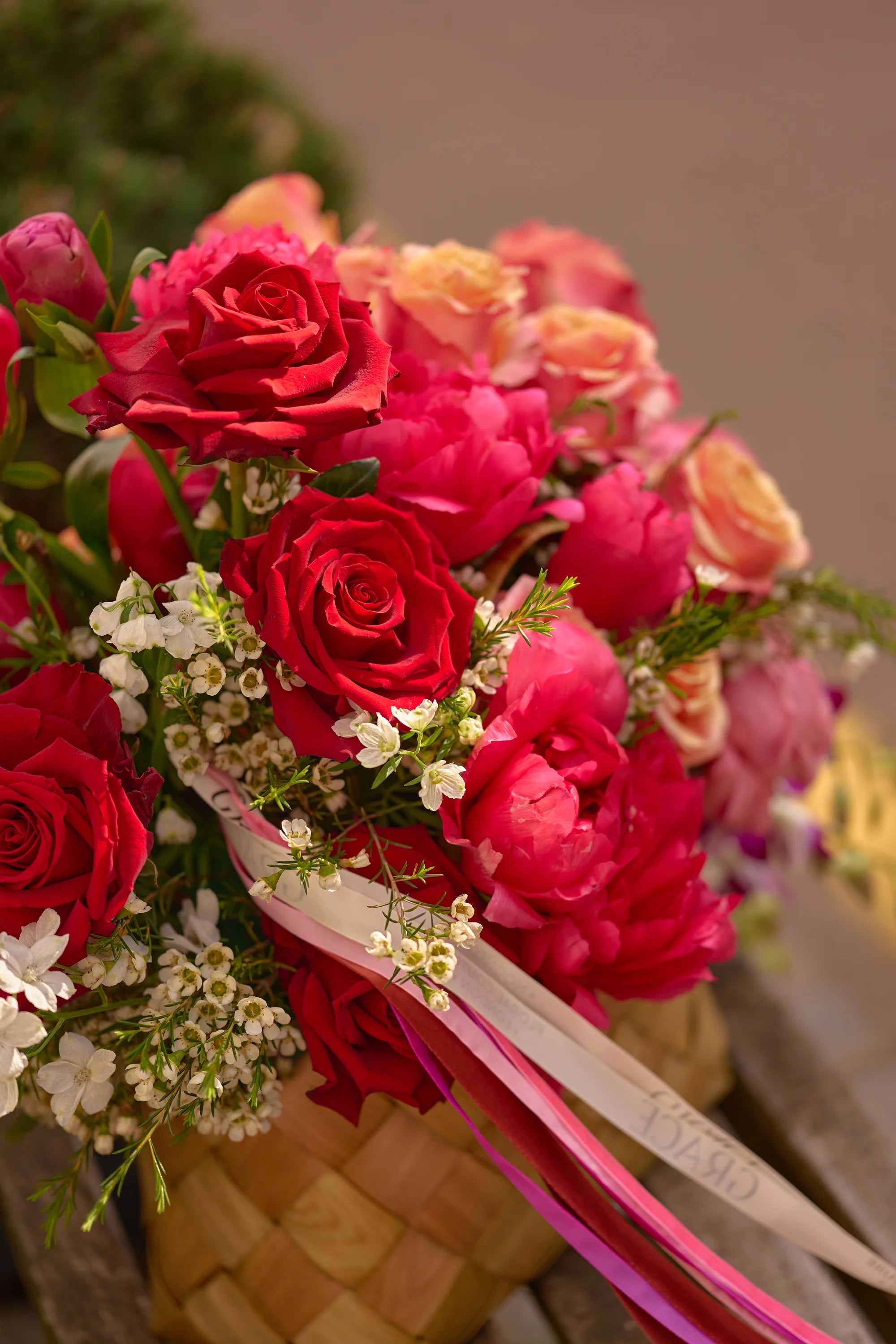 A Burst of Rose