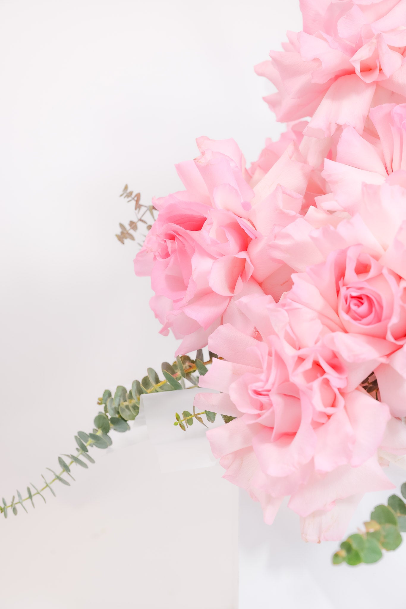 Blushing Beauty