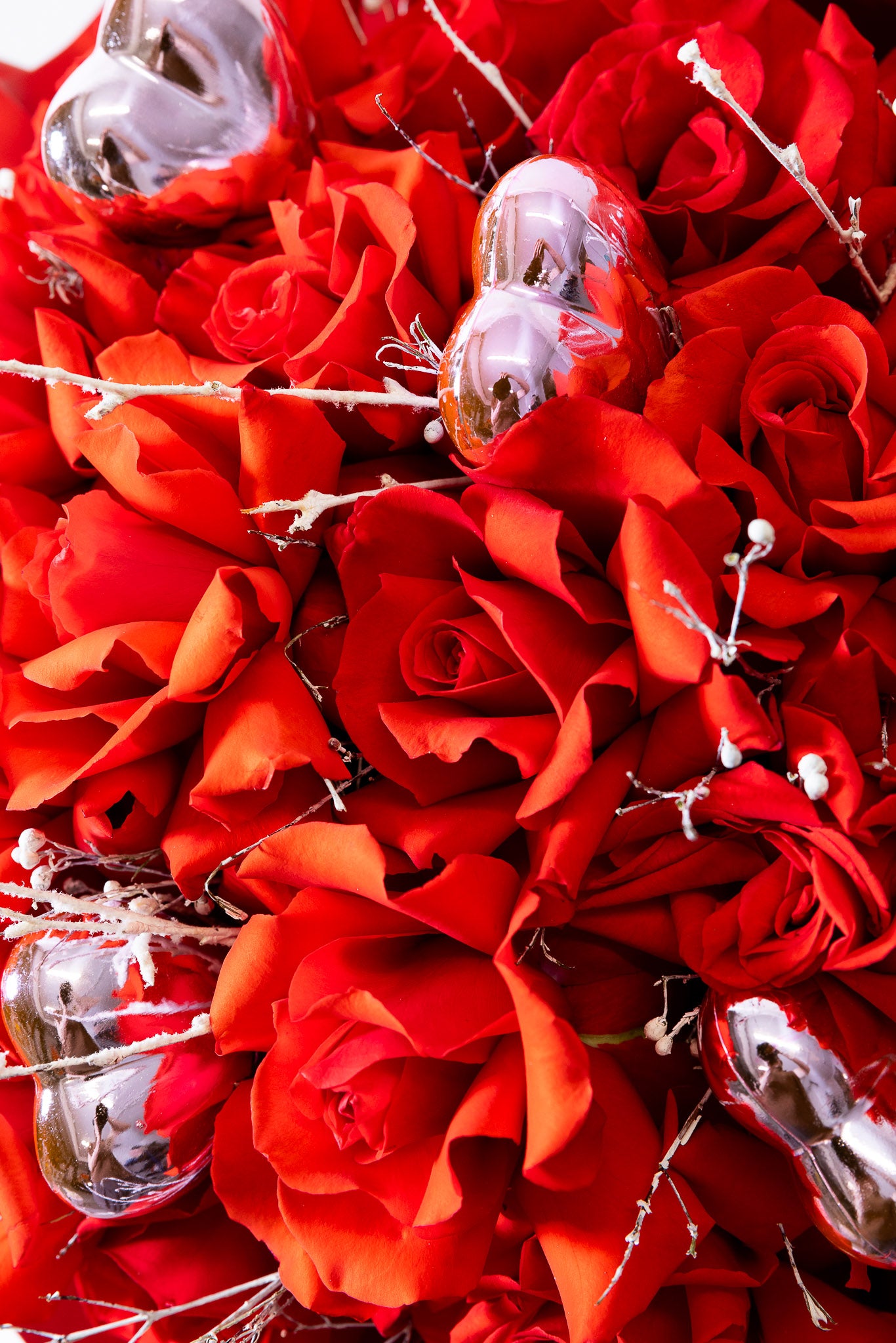 Scarlet Passion