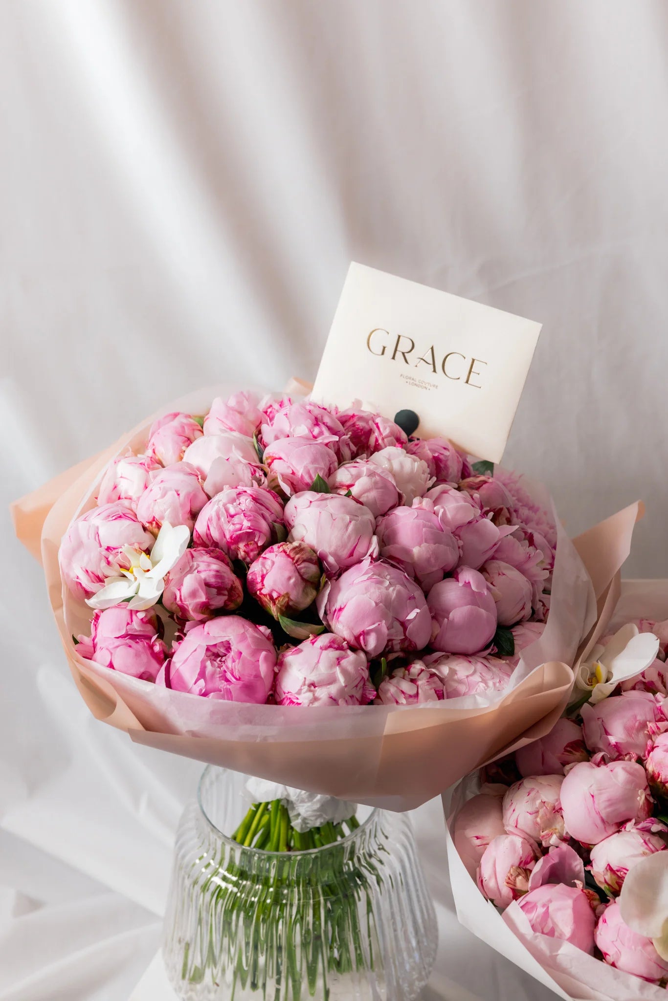 Classic Pink Peonies