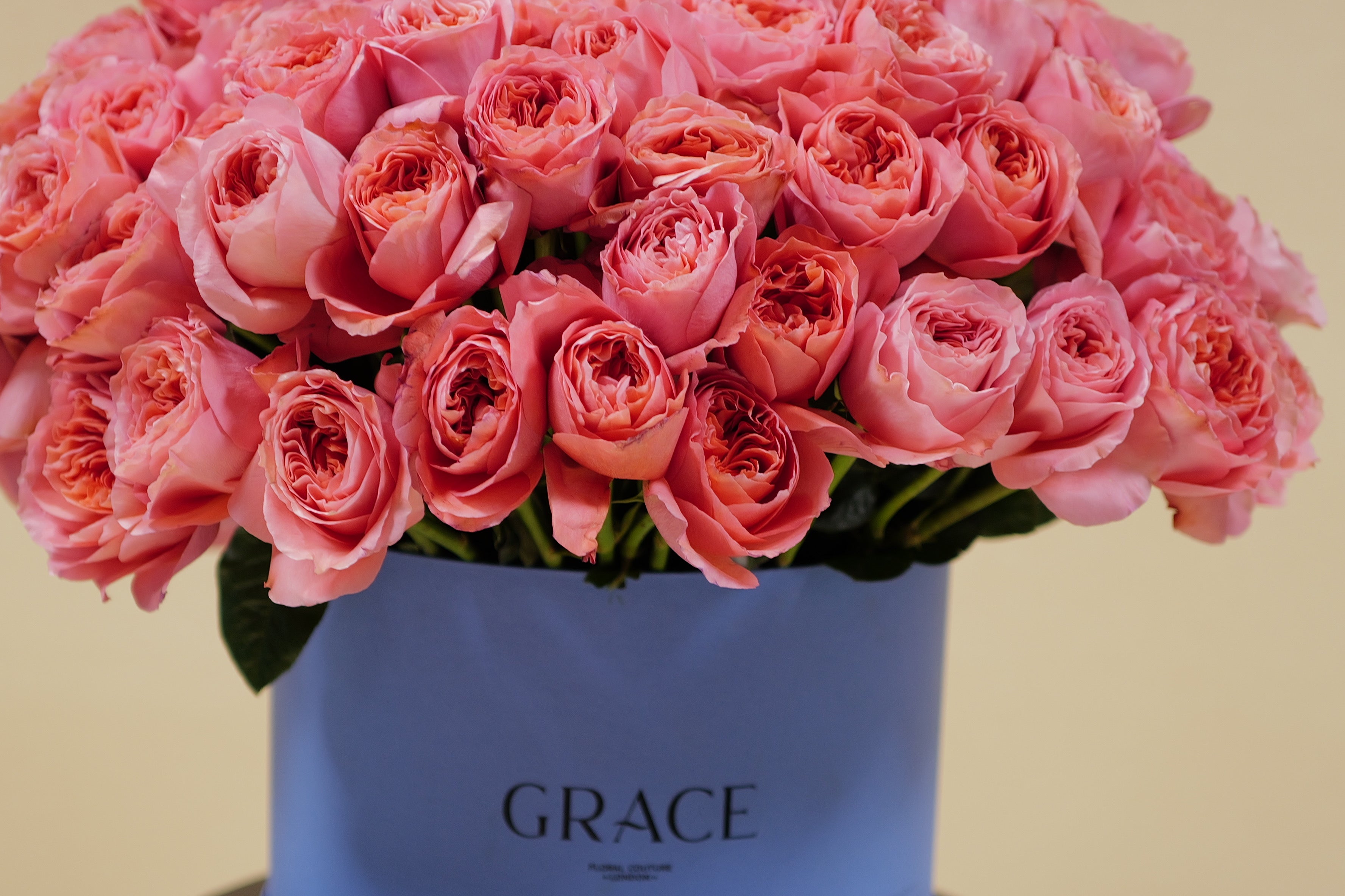 Pink fantasy (125stems)