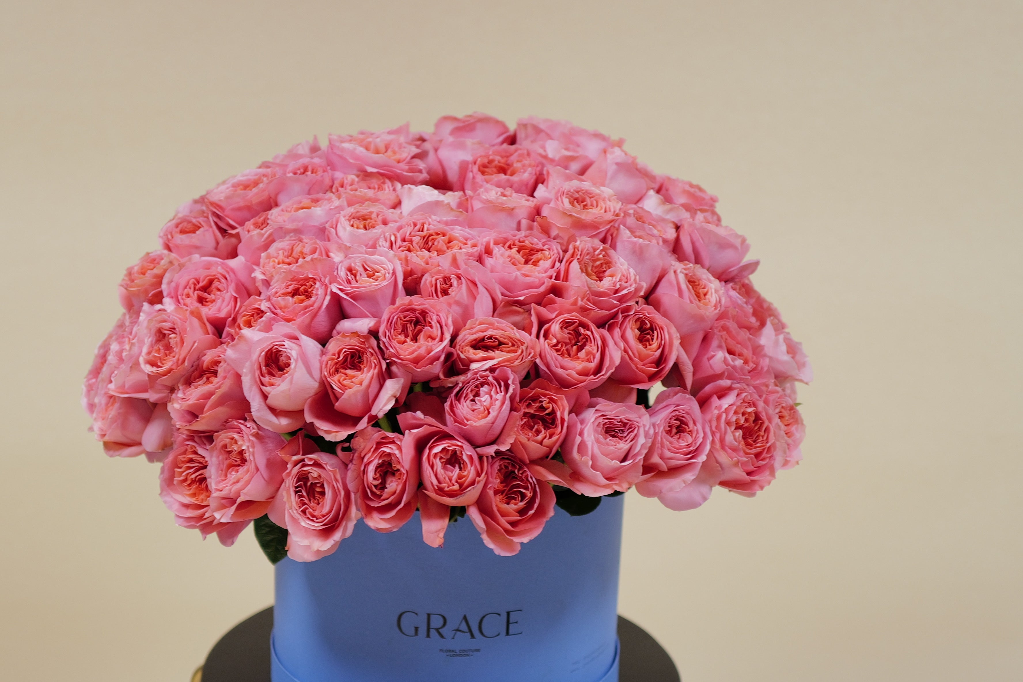 Pink fantasy (125stems)