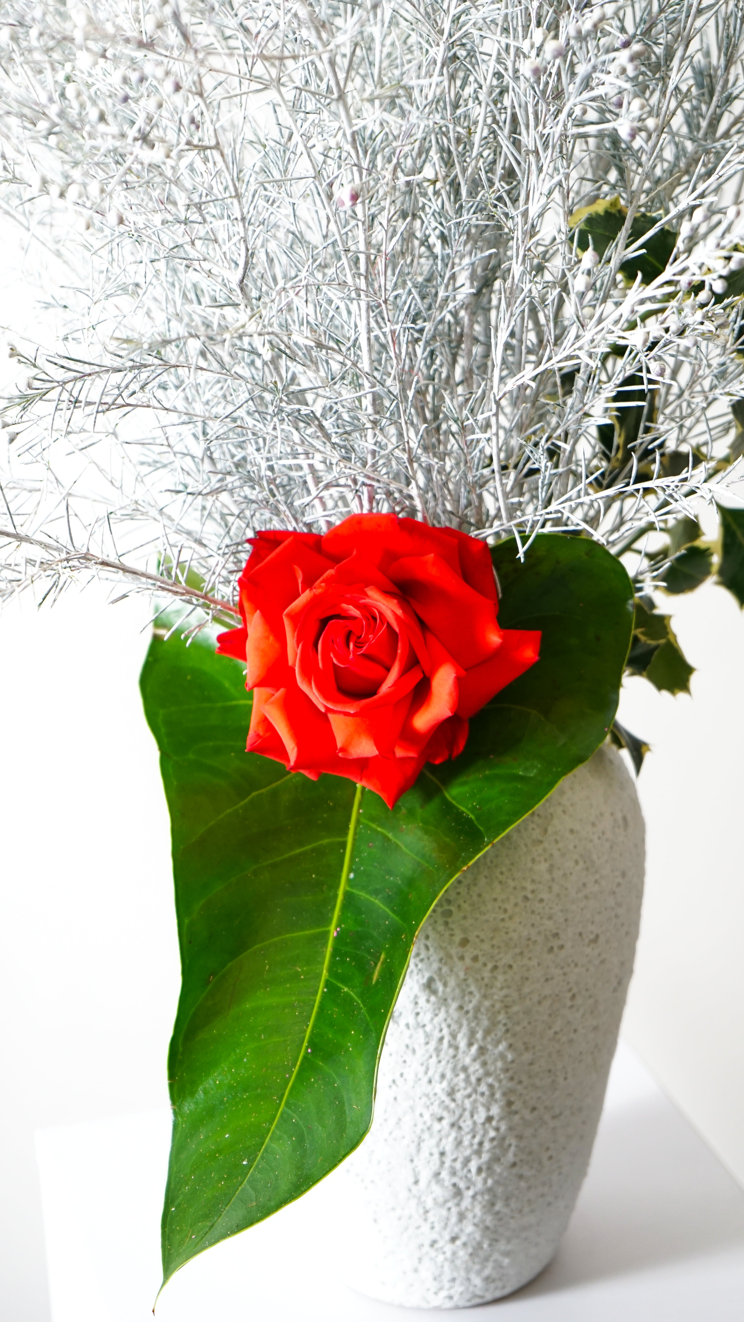 Harmony in Red