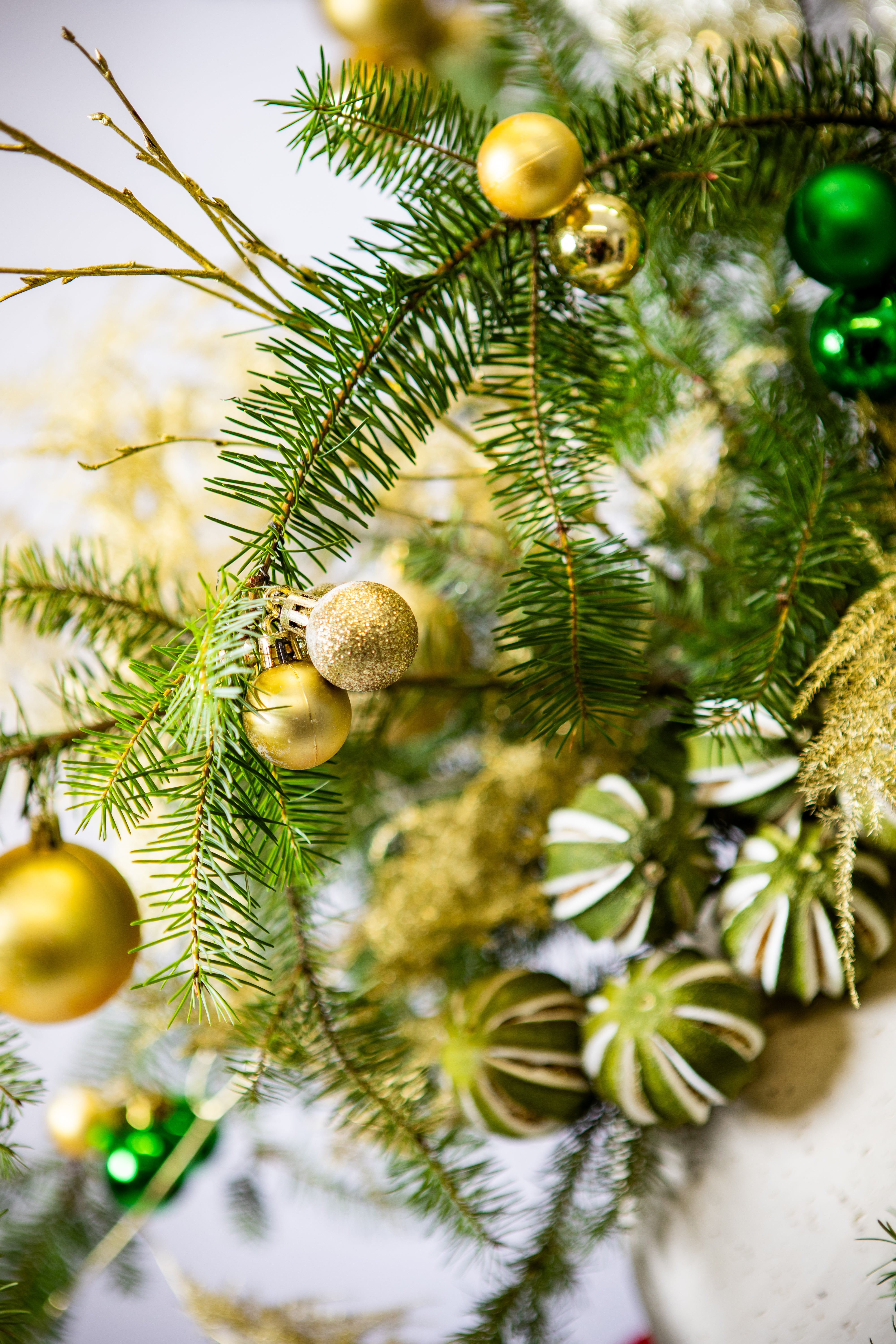 Golden Glow Christmas