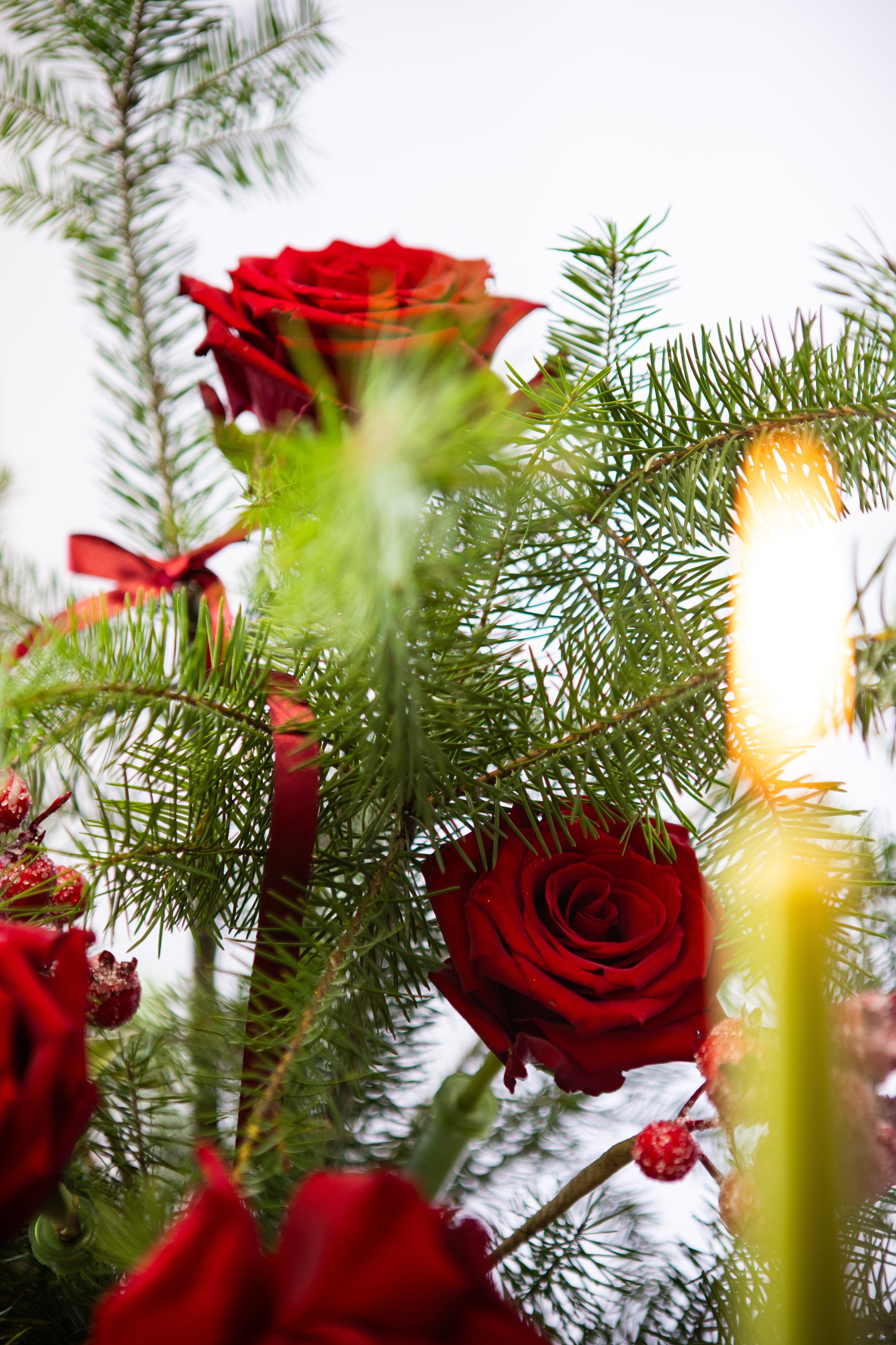Crimson Christmas Bouquet