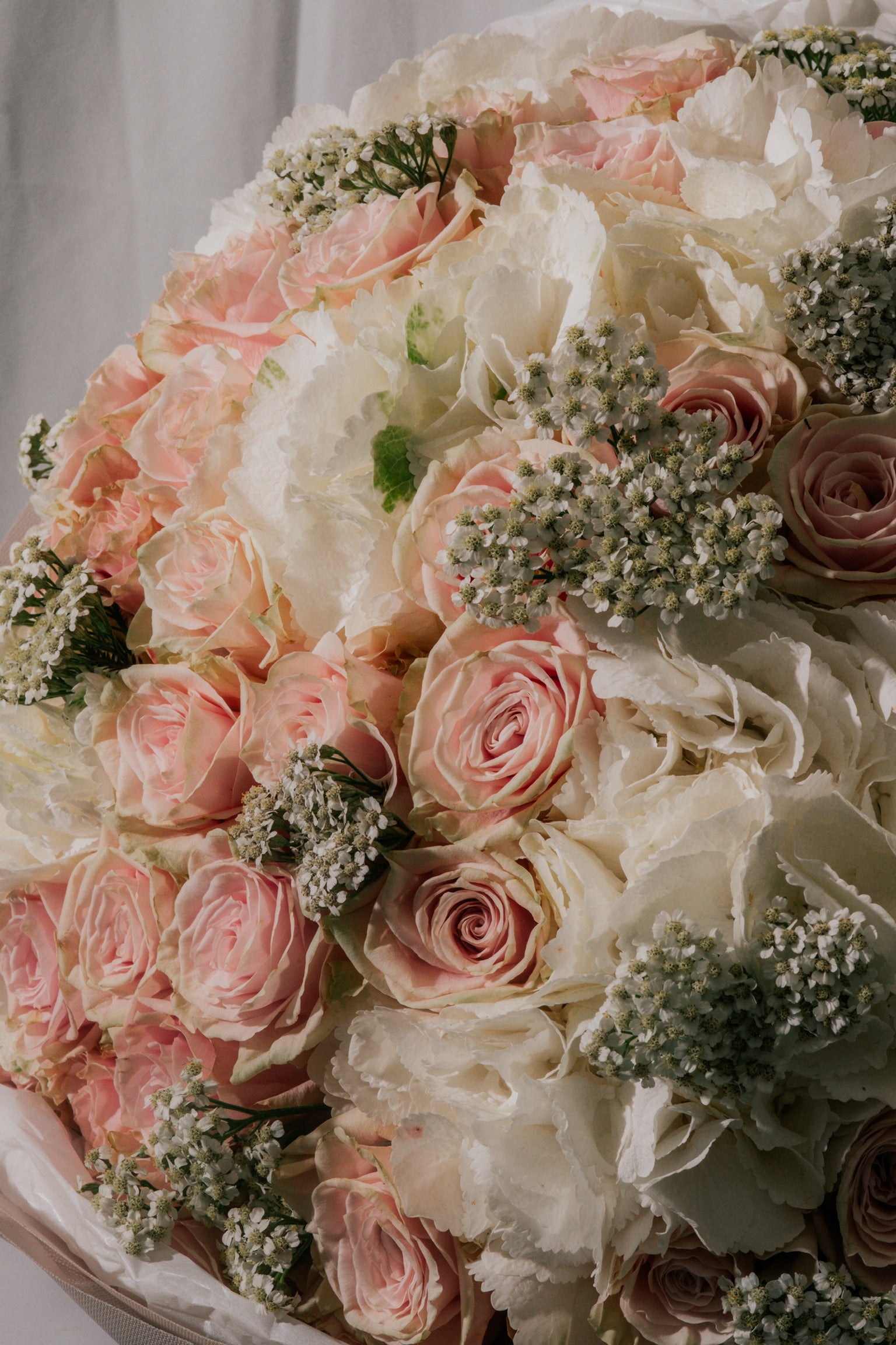 Whispered Petals