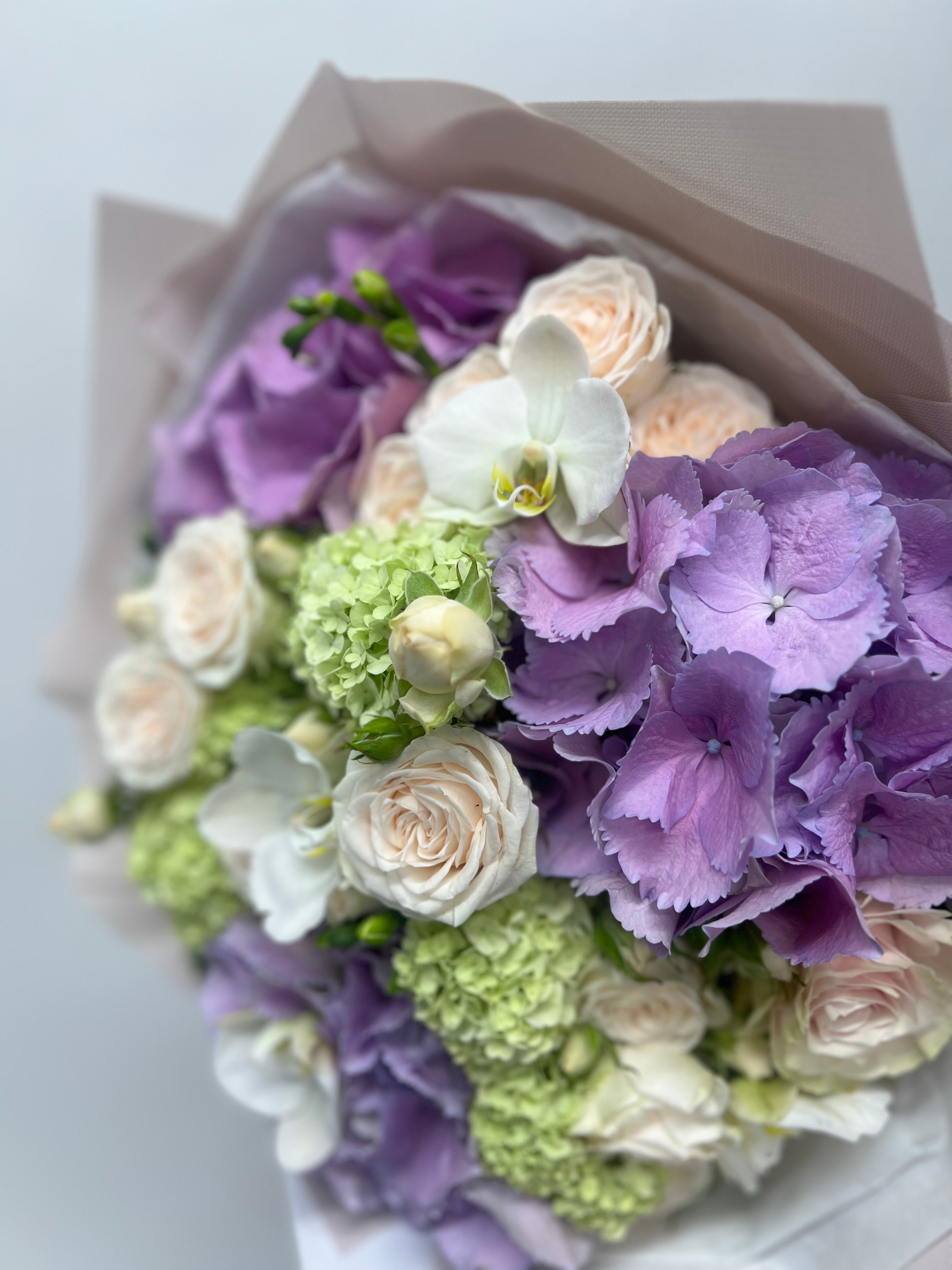 Lavender Serenity