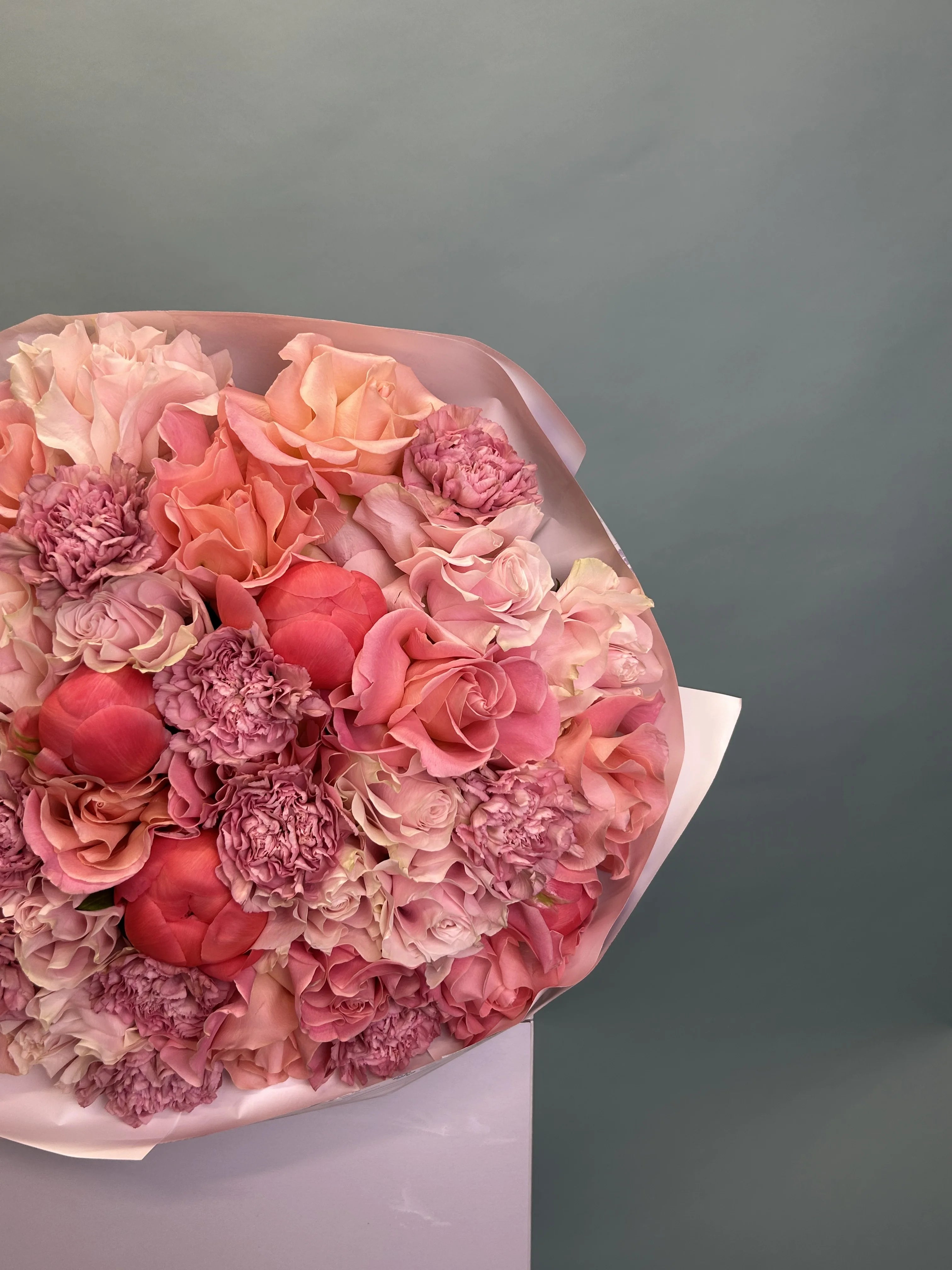 Peach Velvet Garden