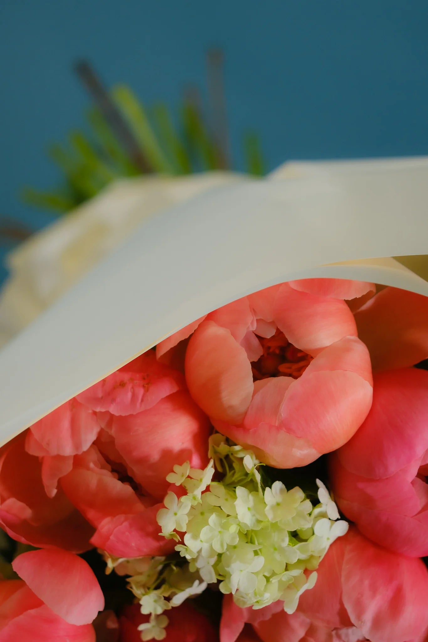 Petal Paradise