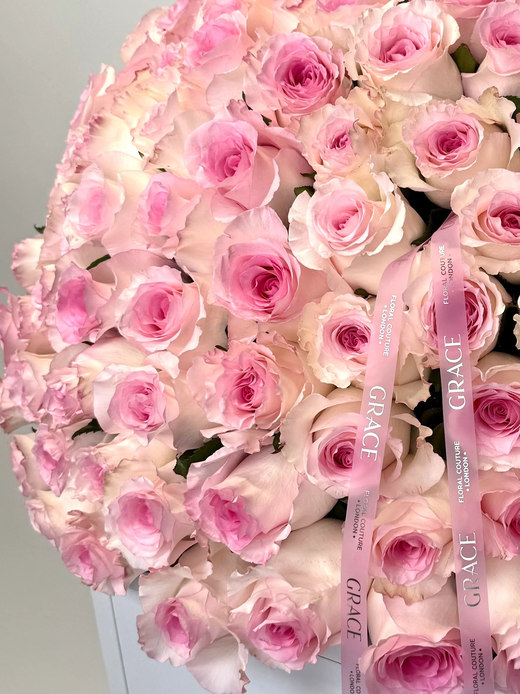 Rose Imperiale