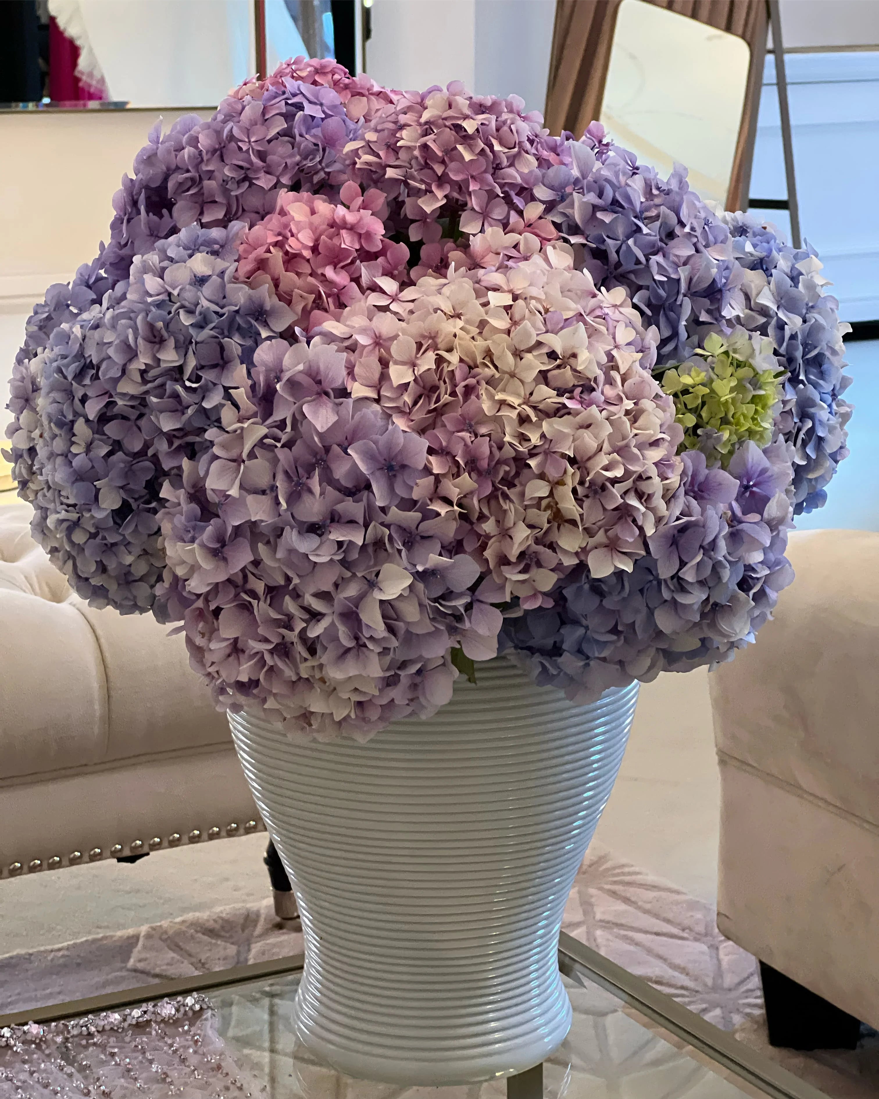 Hydrangeas Dream