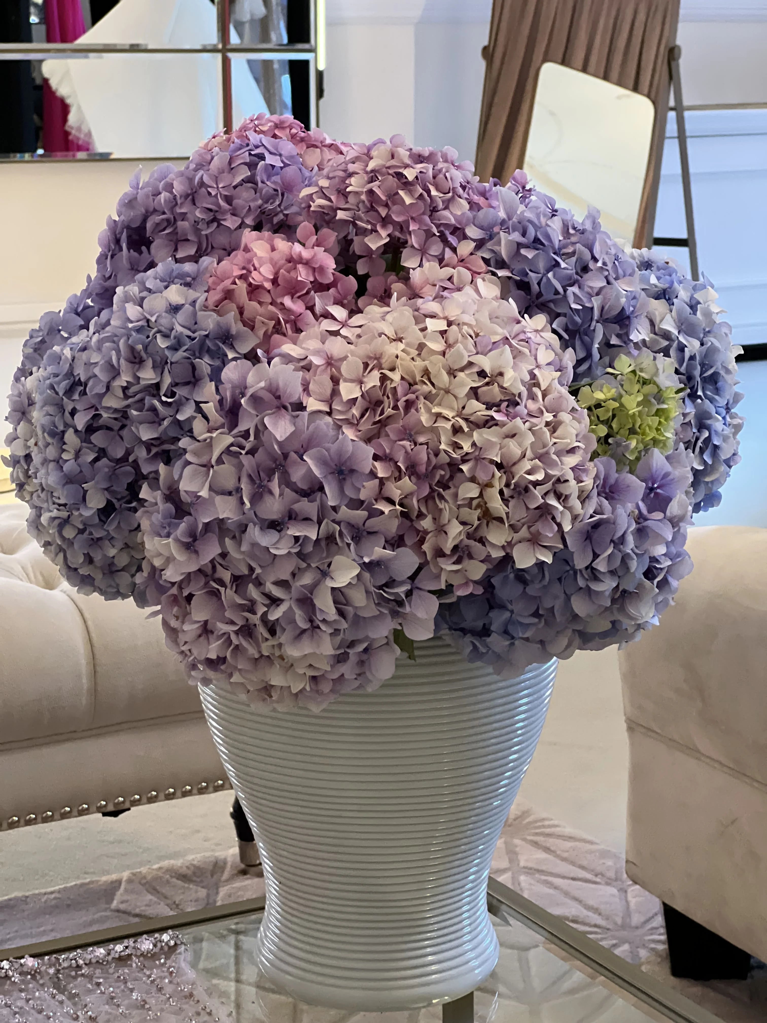 Hydrangeas Dream