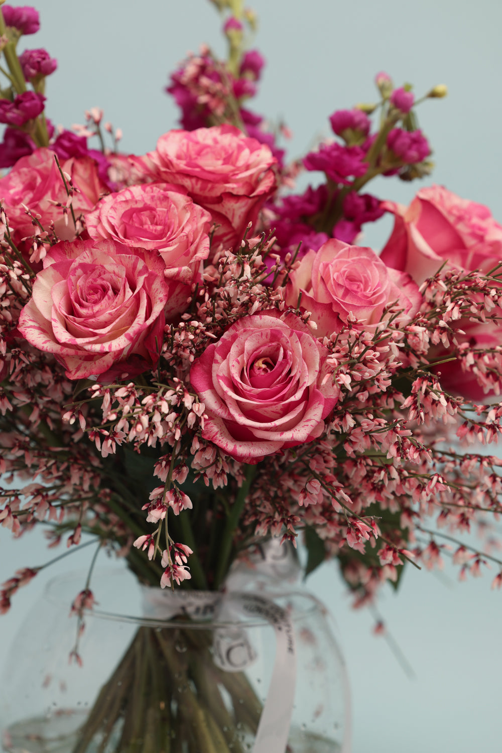 Rose Pearl