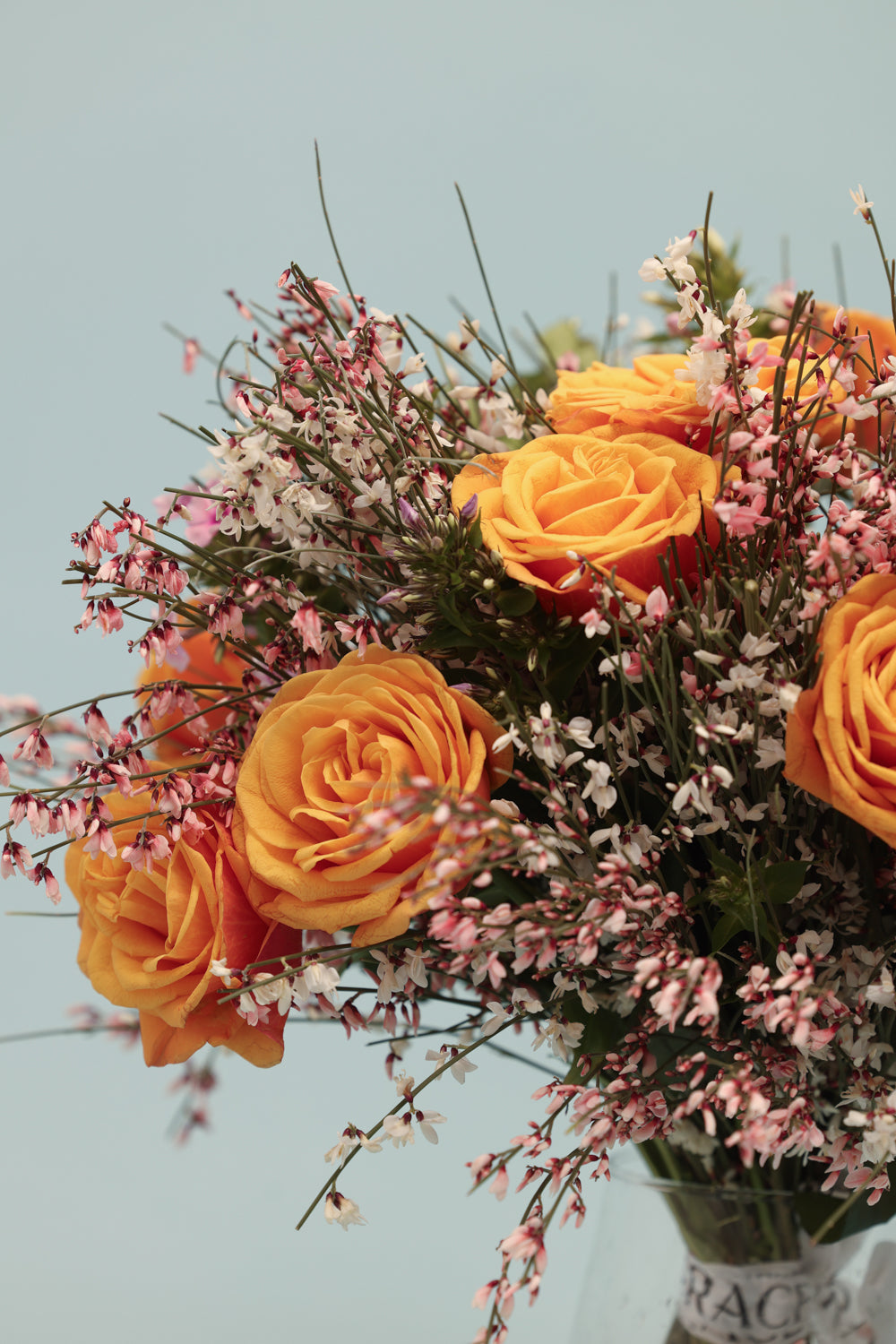 Orange Blossom