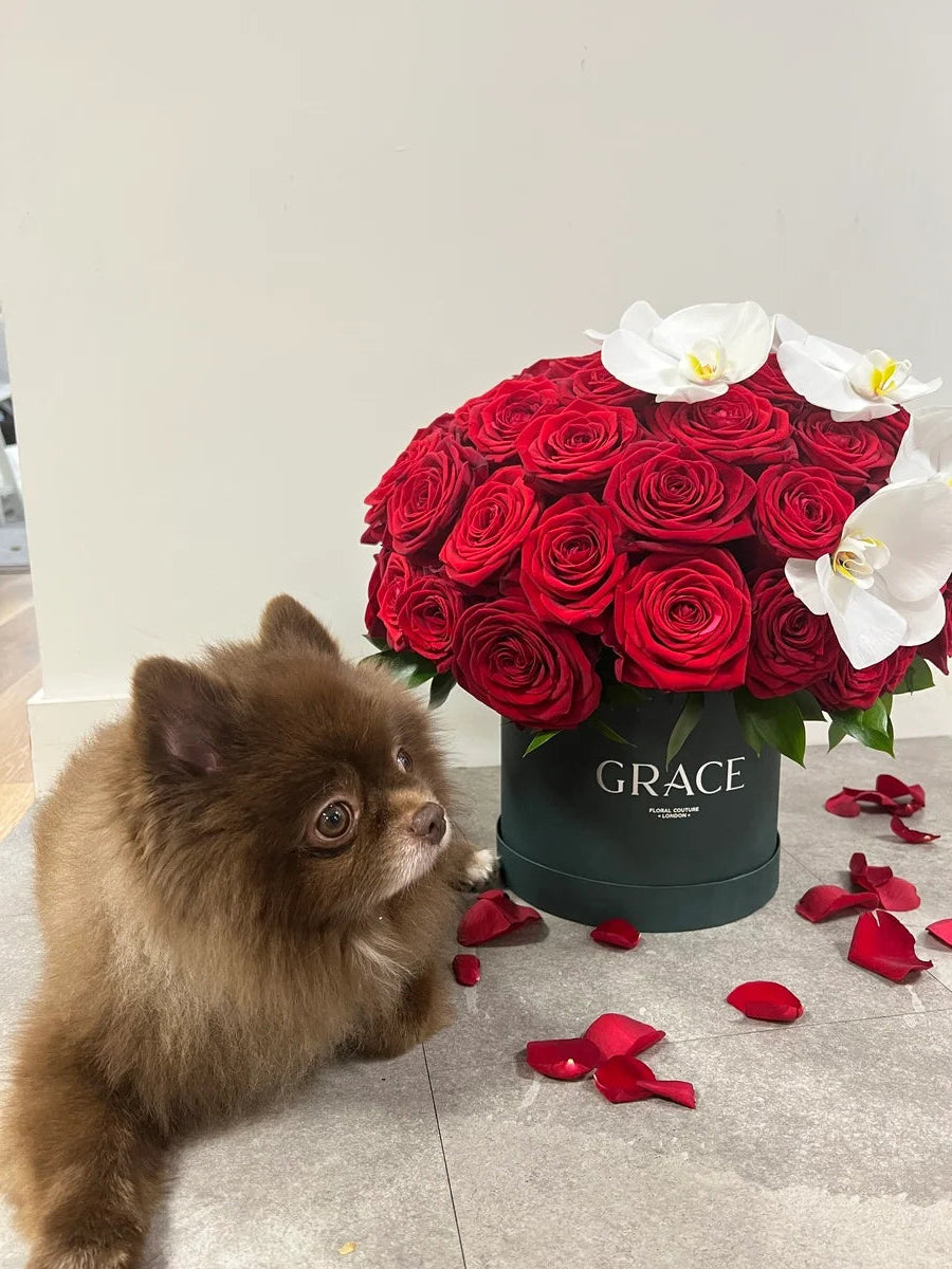 Red roses with orchid