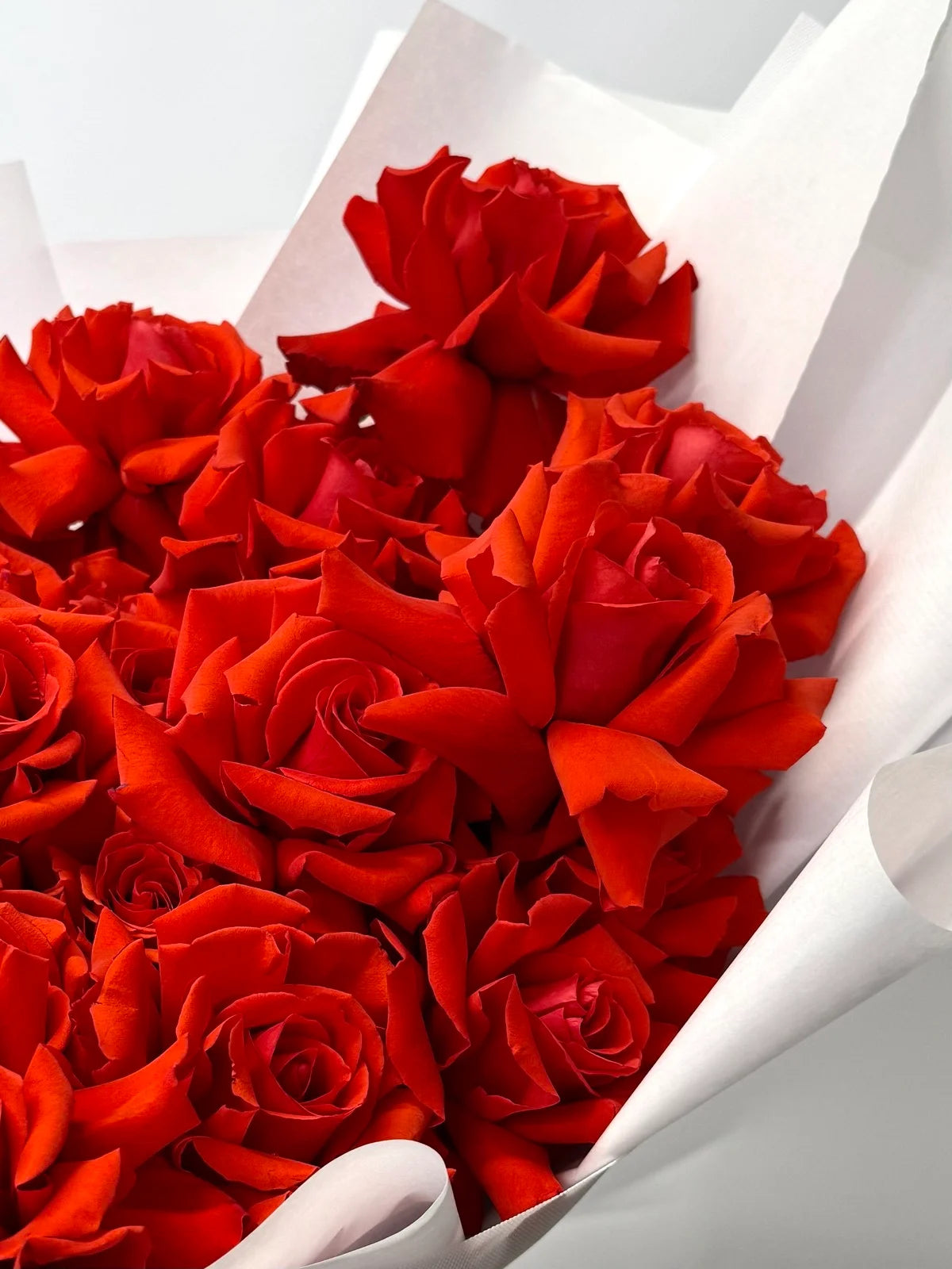 Rouge opera