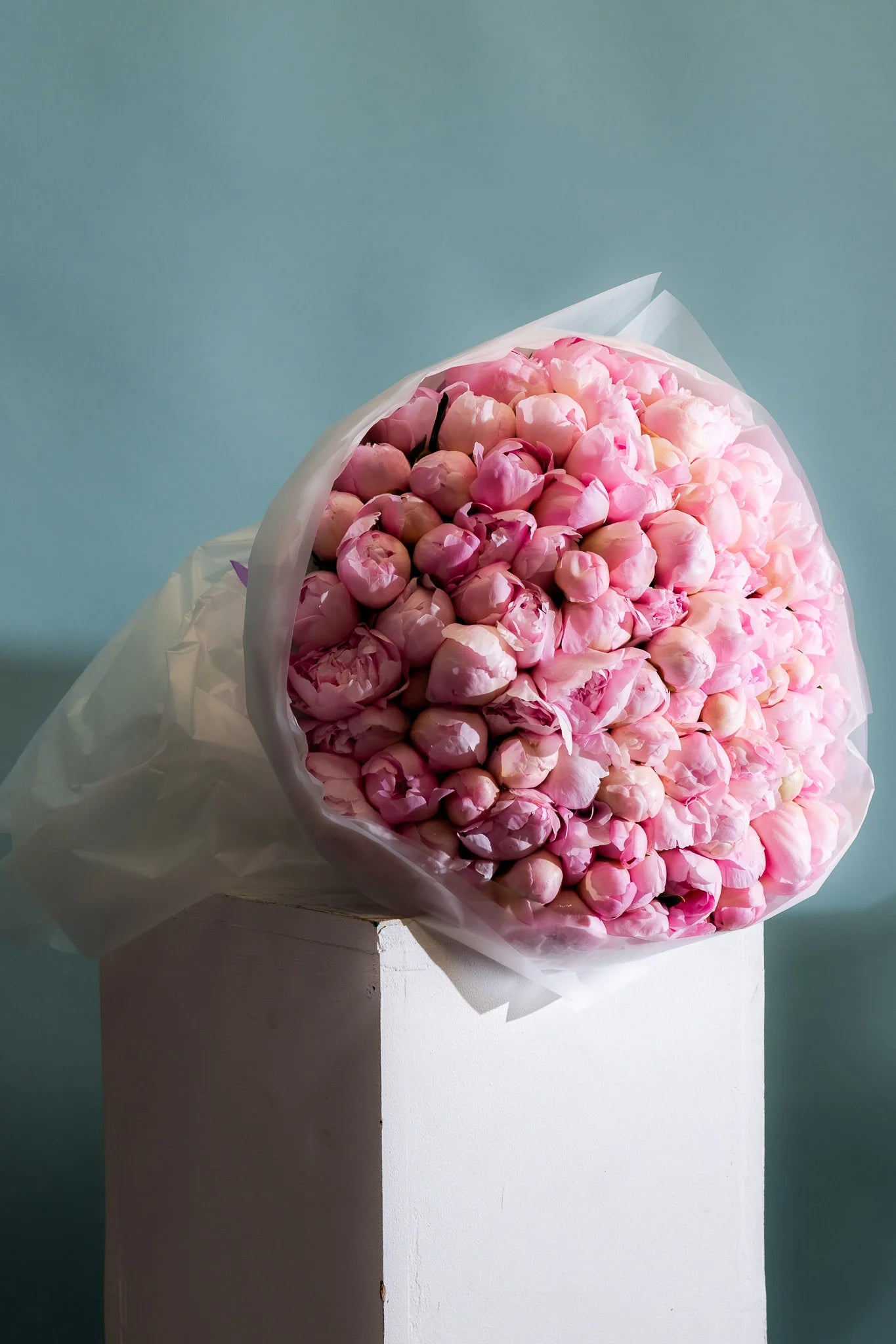 Pink Blush Royal