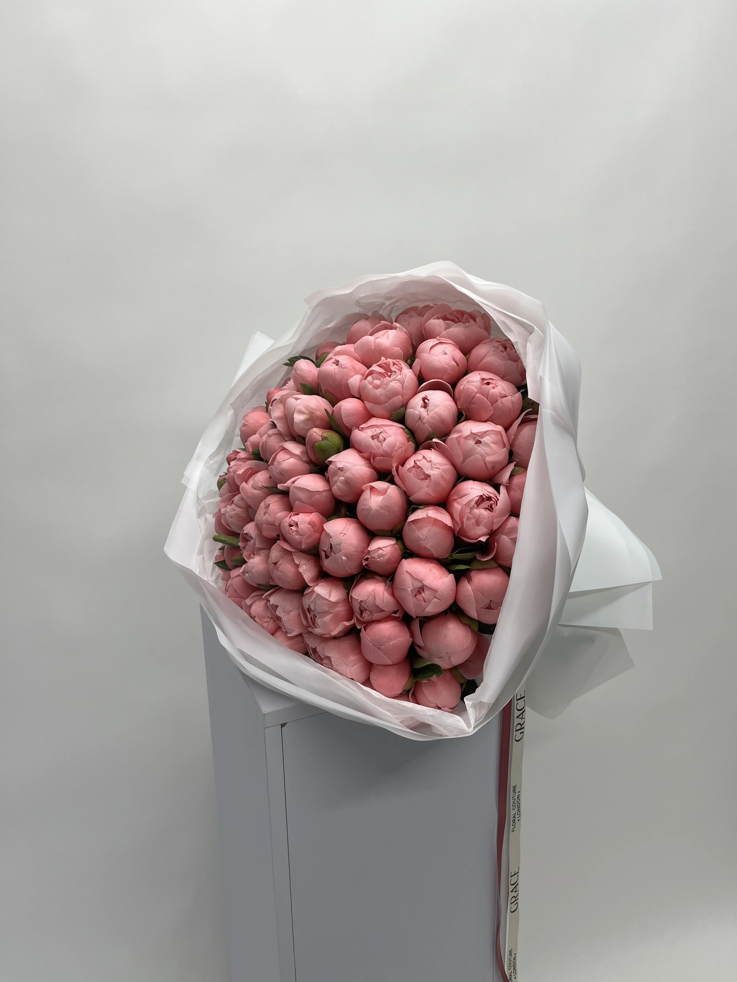 Coral Dreamy Peonies