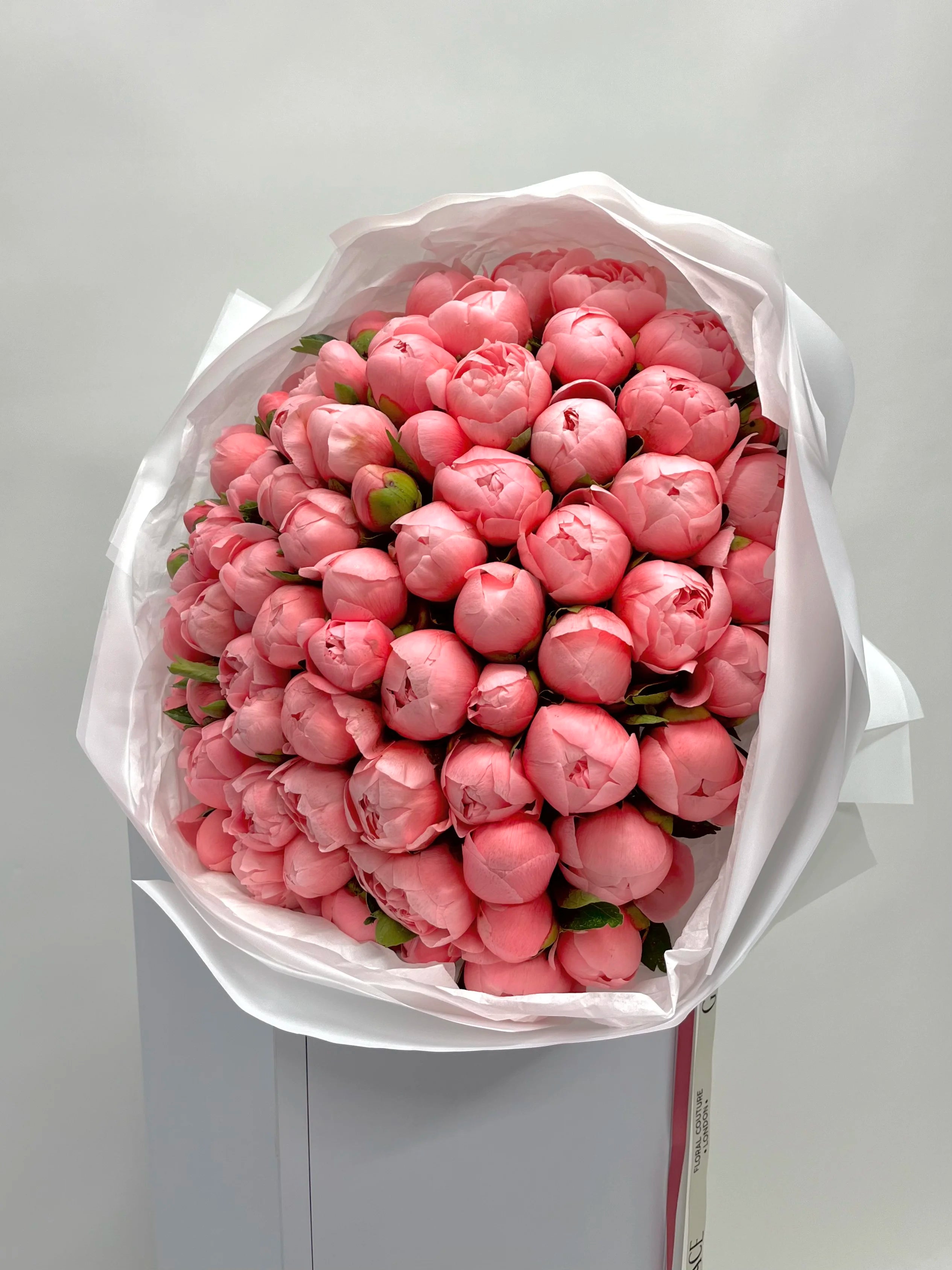 Coral Dreamy Peonies