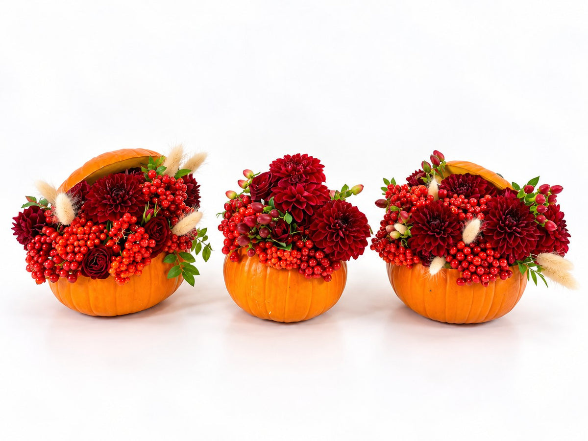 Halloween set of 3