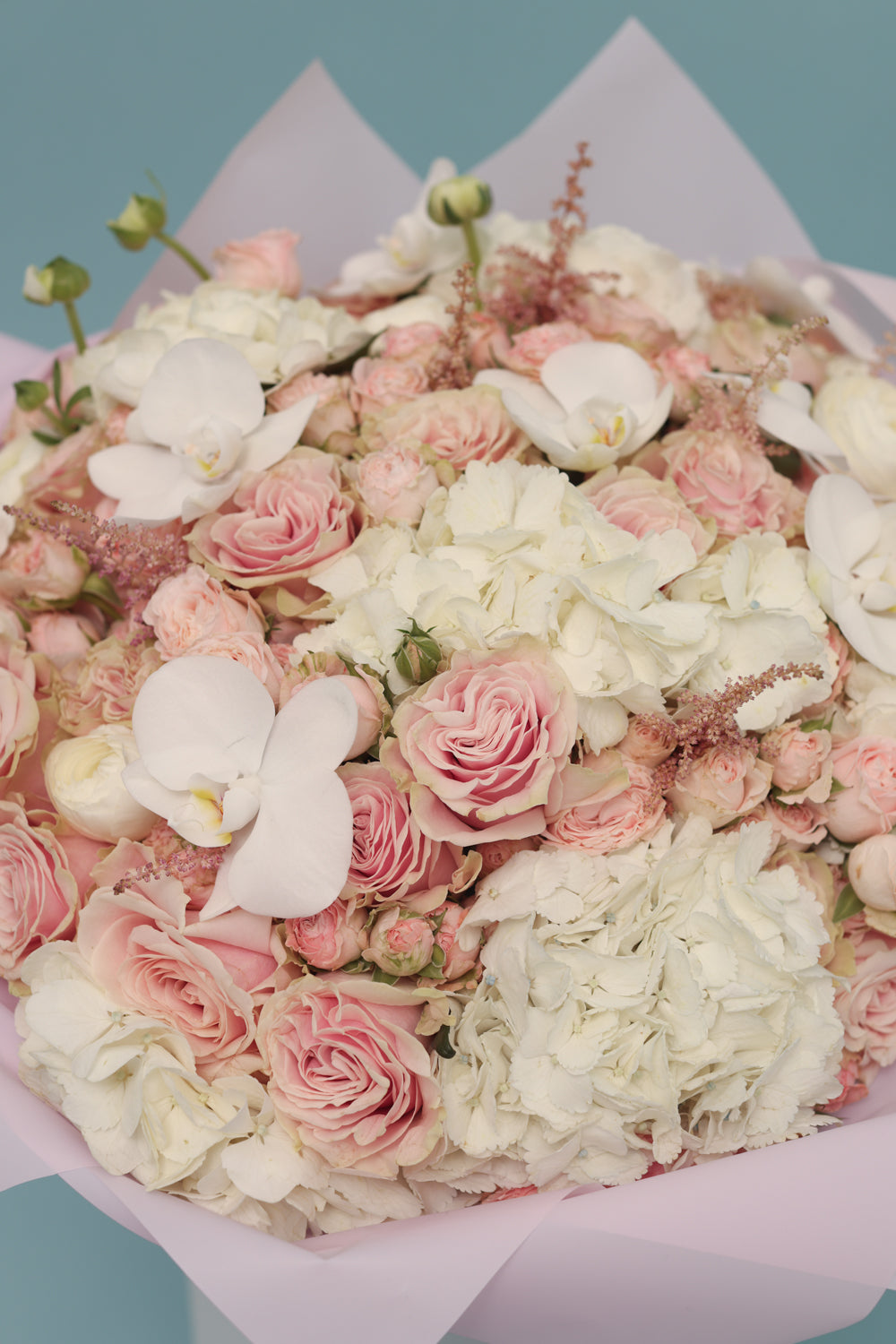 Ode to spring