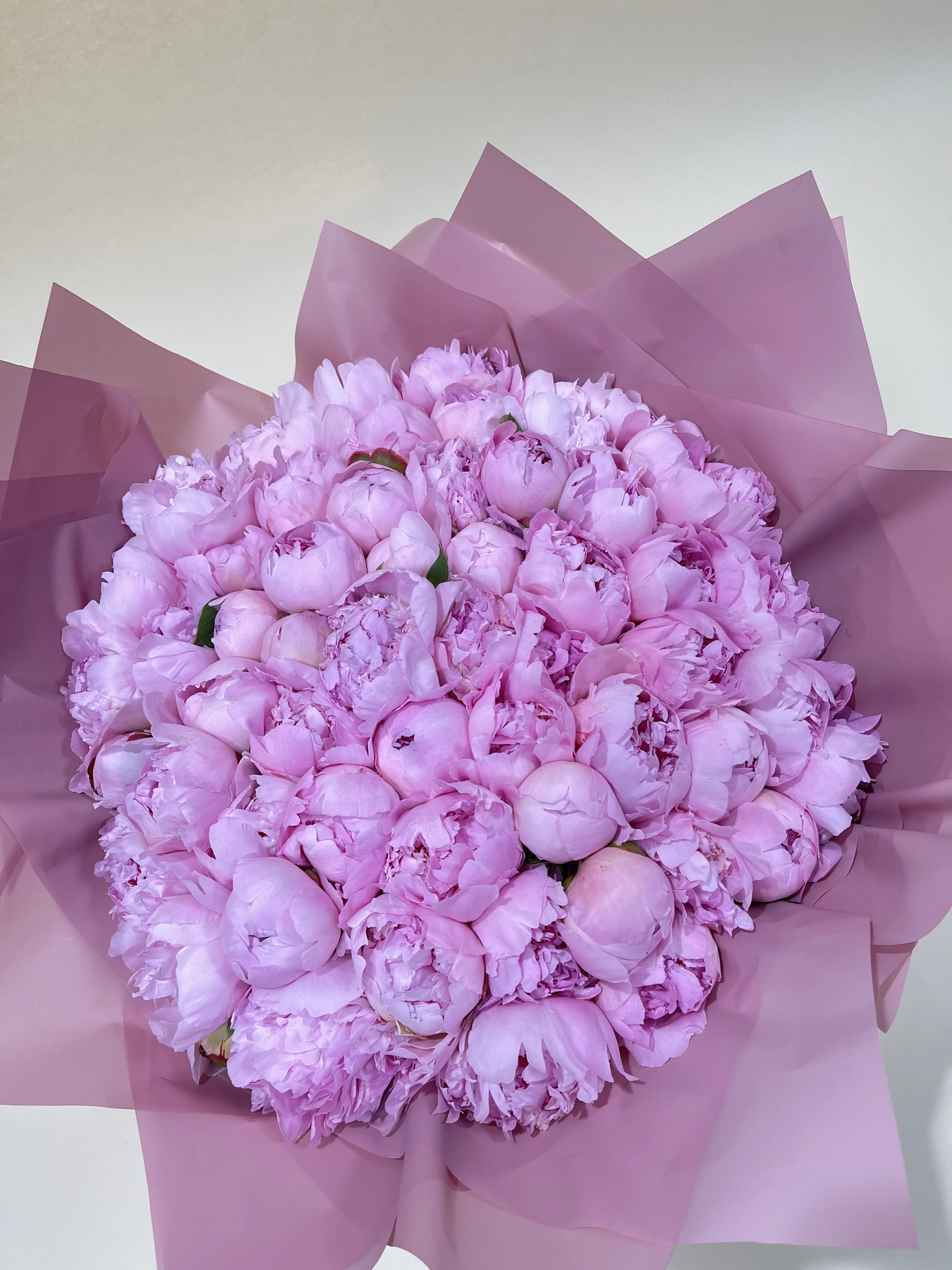 Pink Peonies