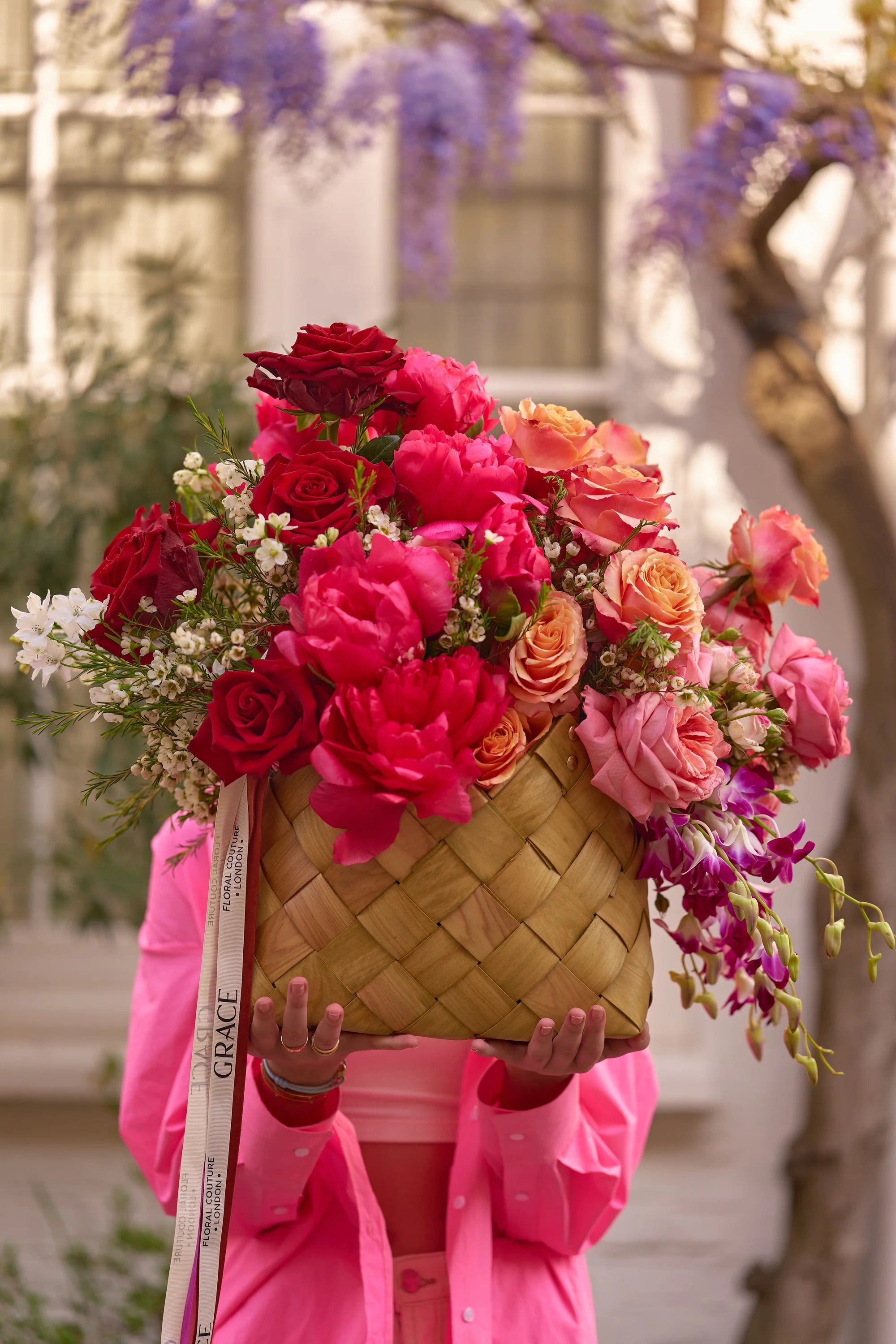 A Burst of Rose