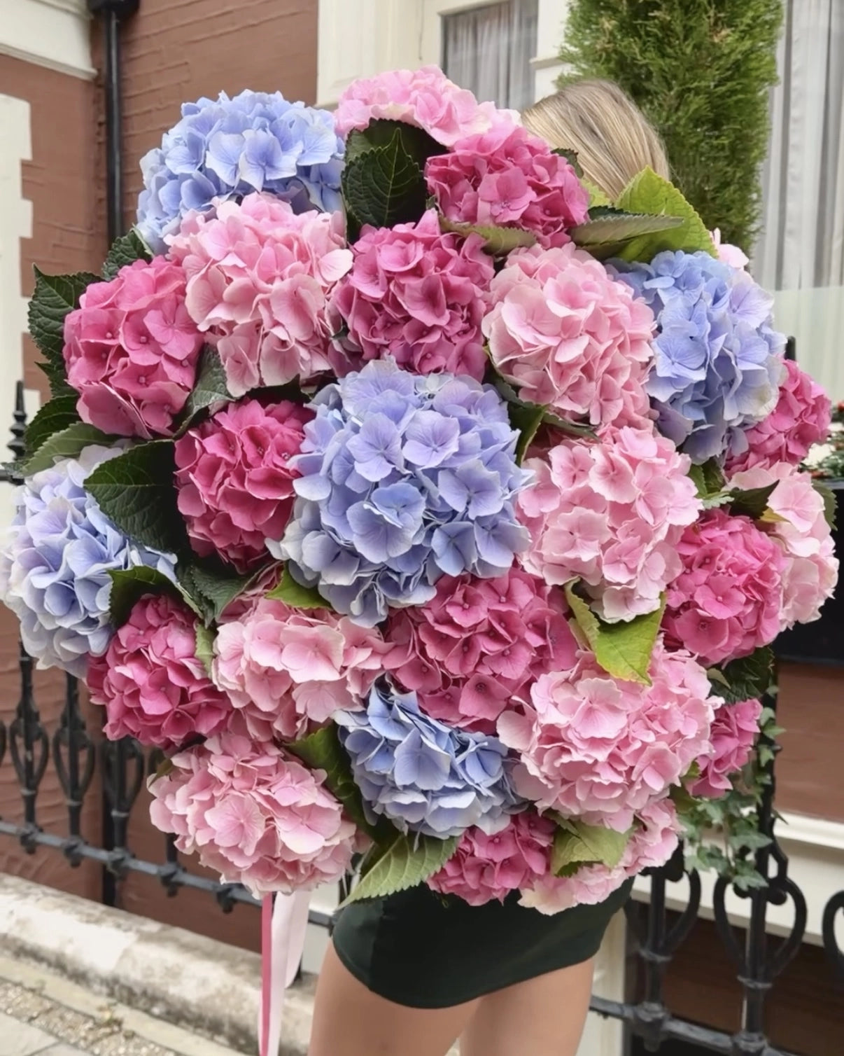 HYDRANGEA COUTURE