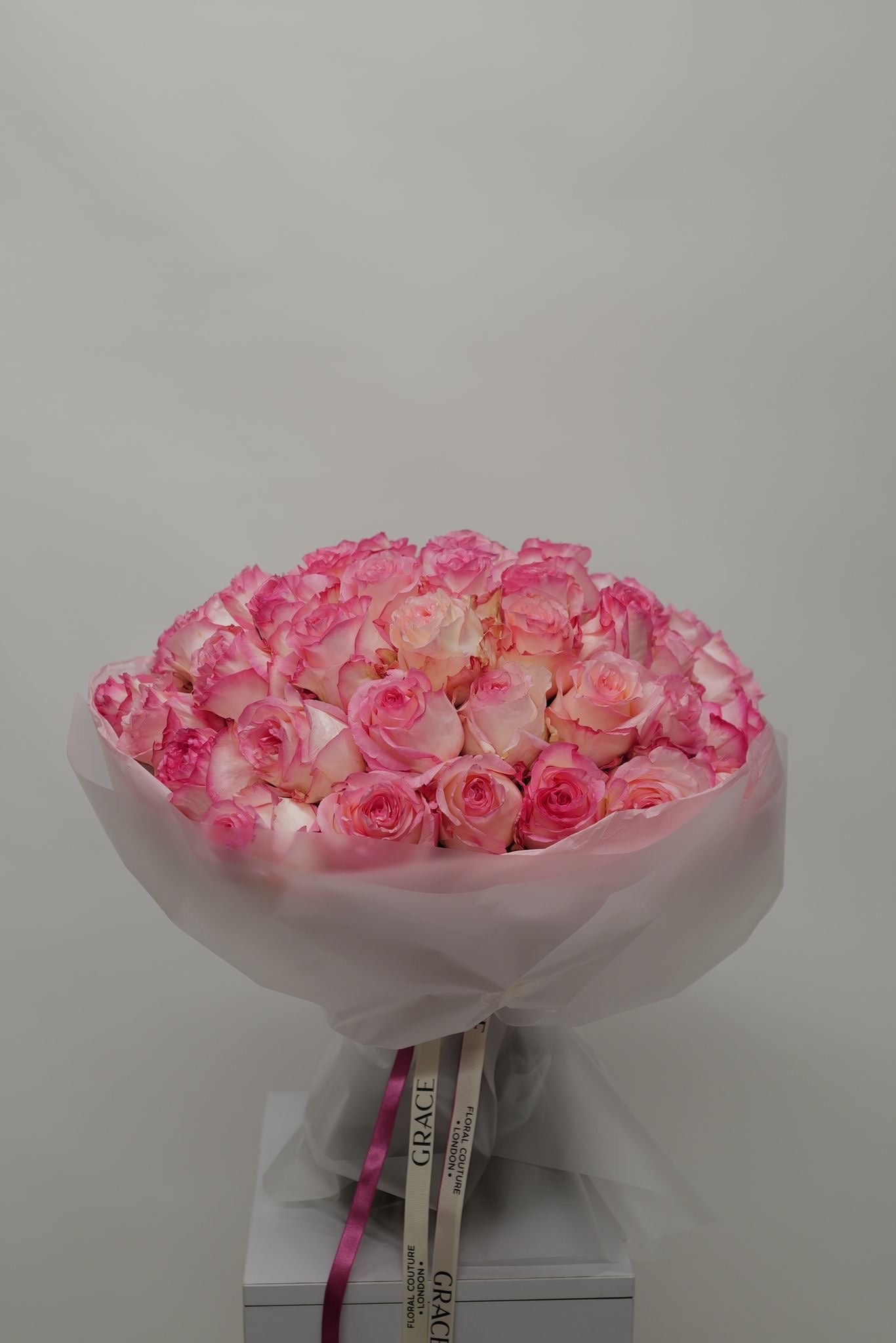 Pink Dream