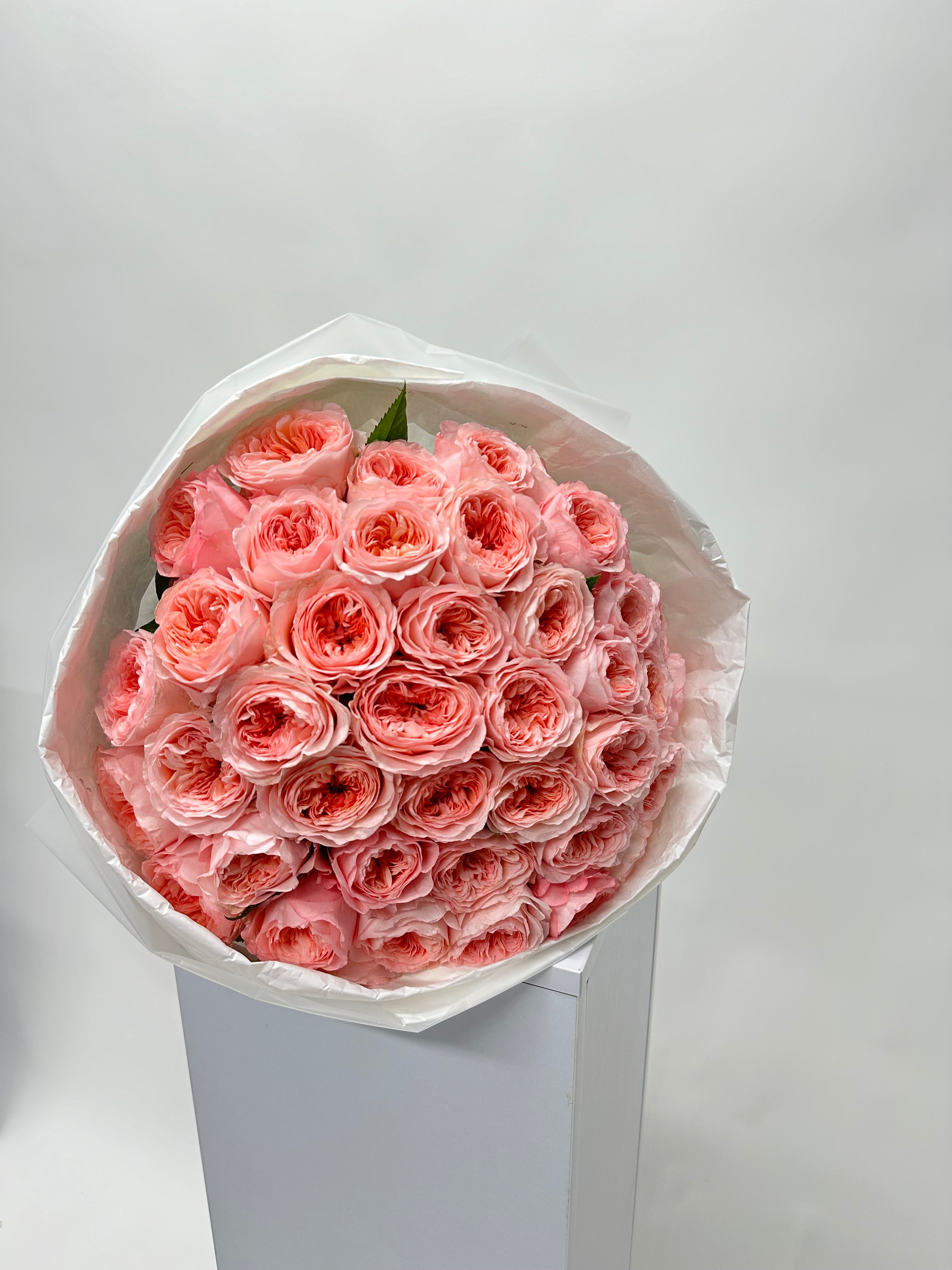 Roseate Embrace