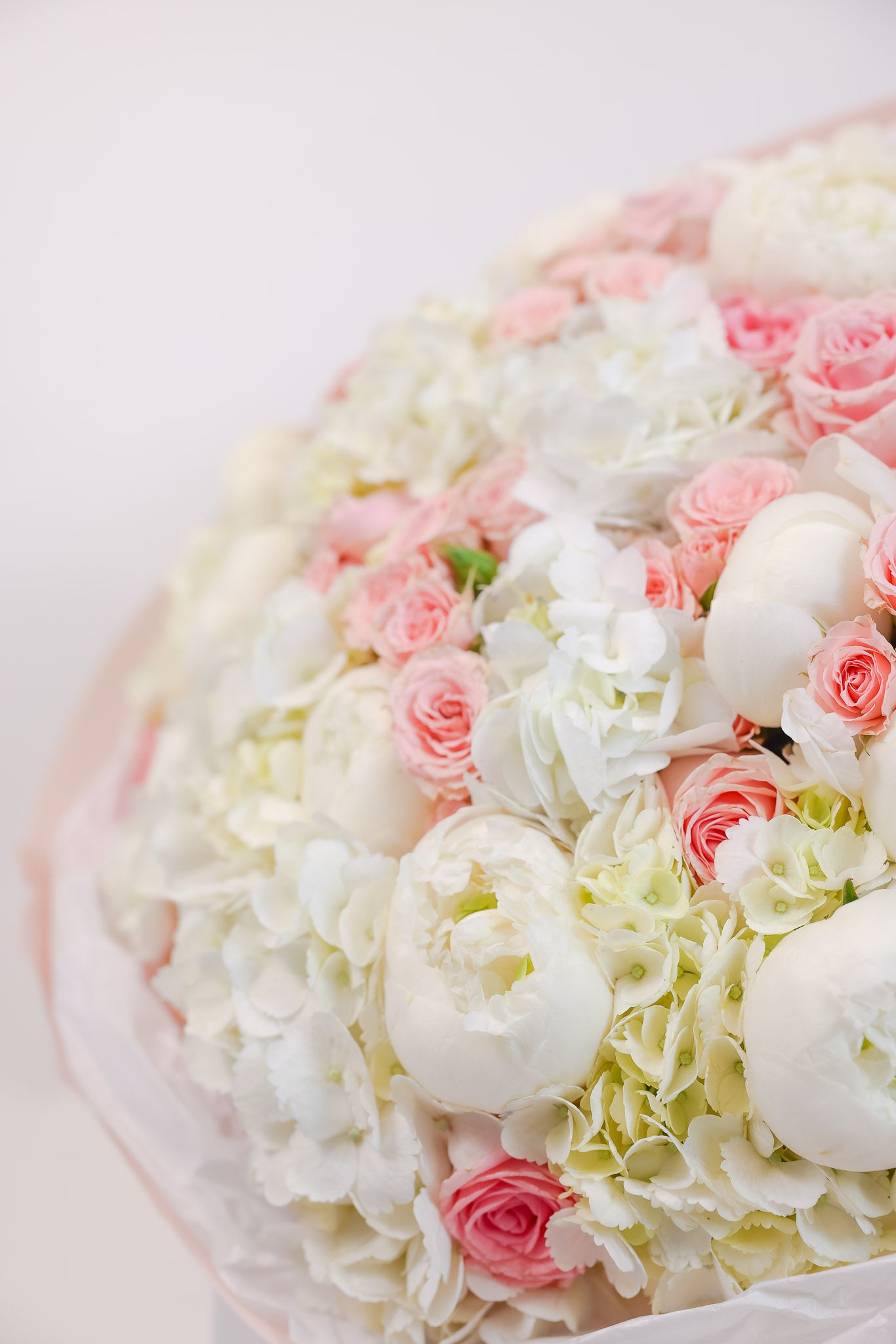 Blush Elegance