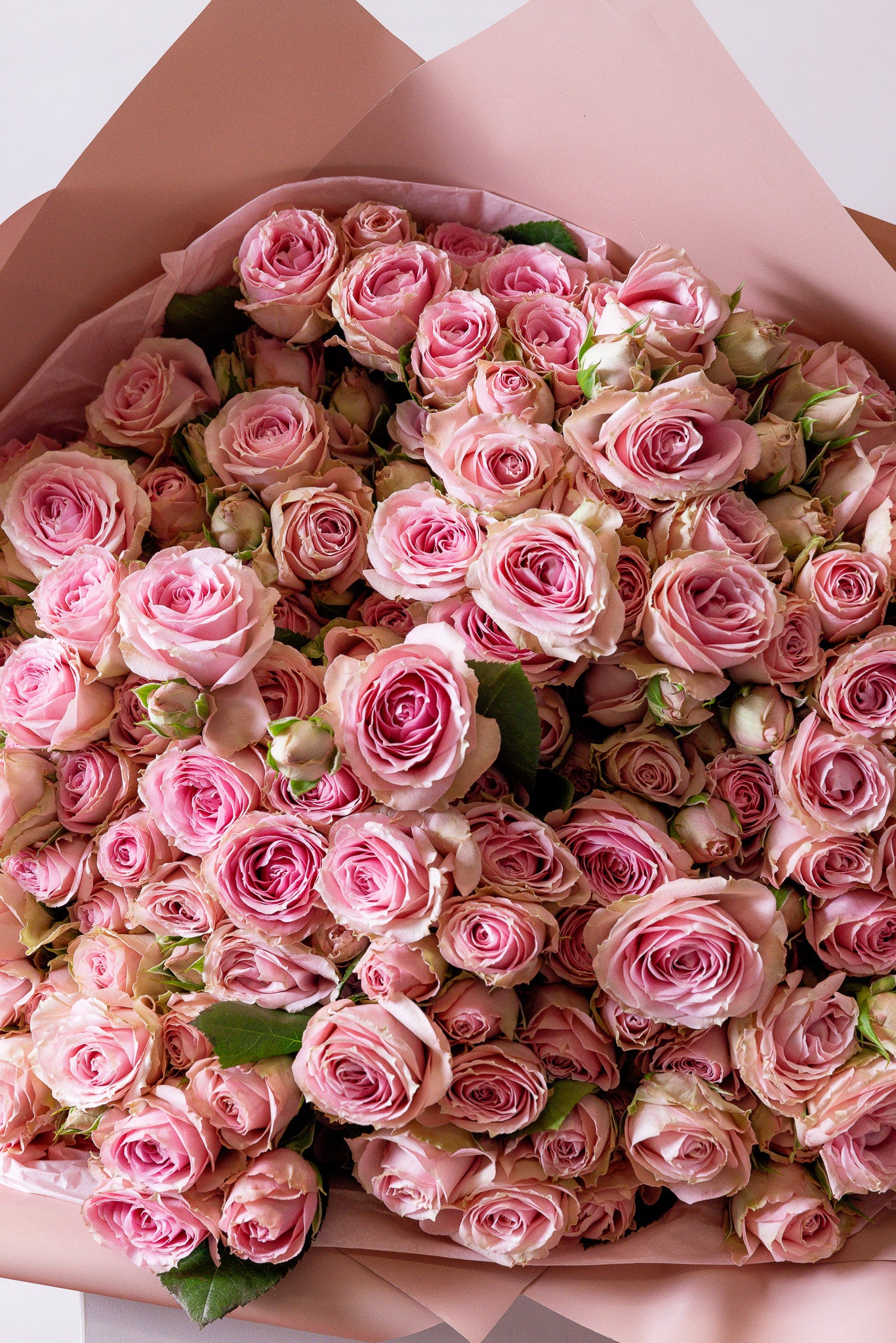 Love in bloom
