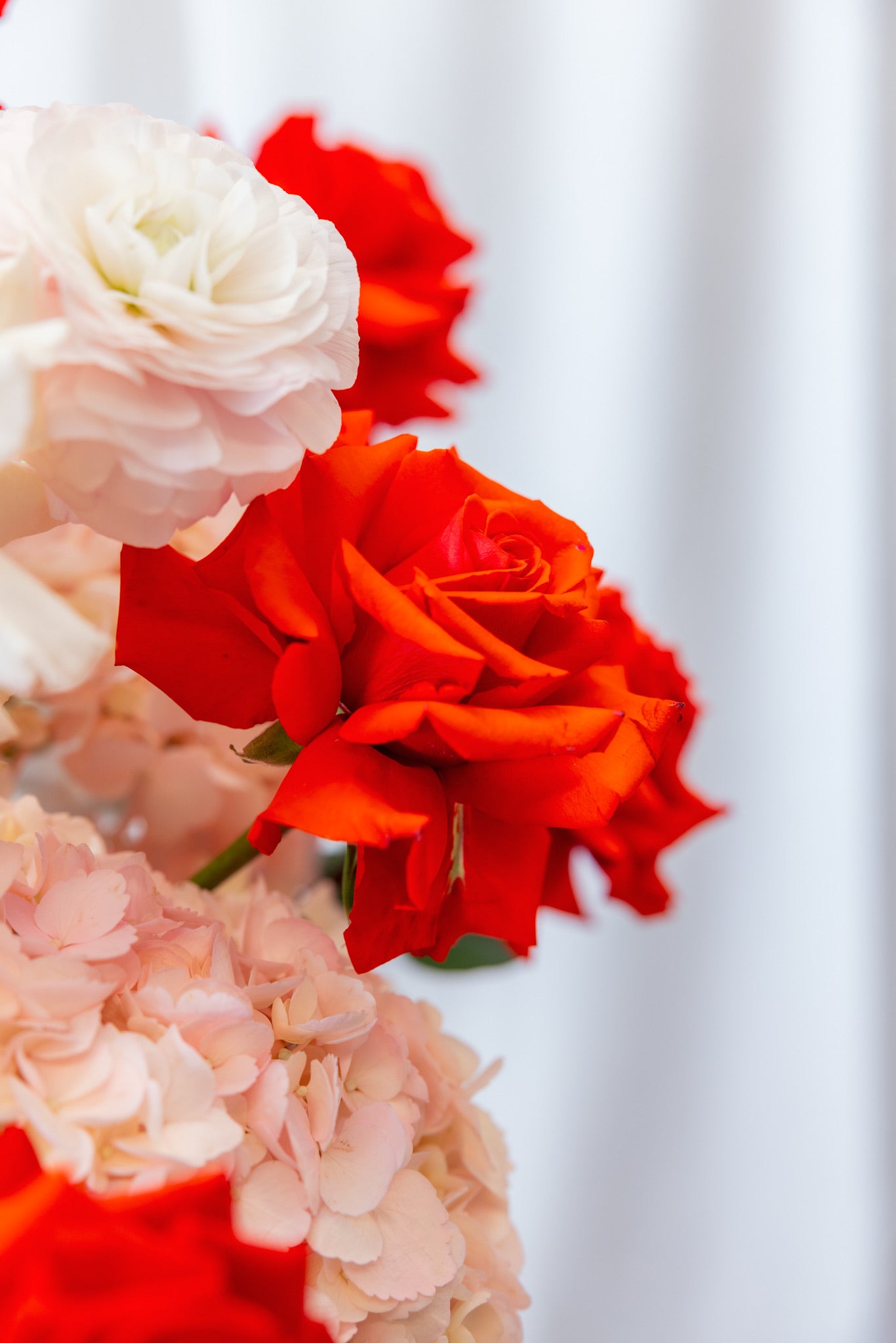 Fiore Rosso