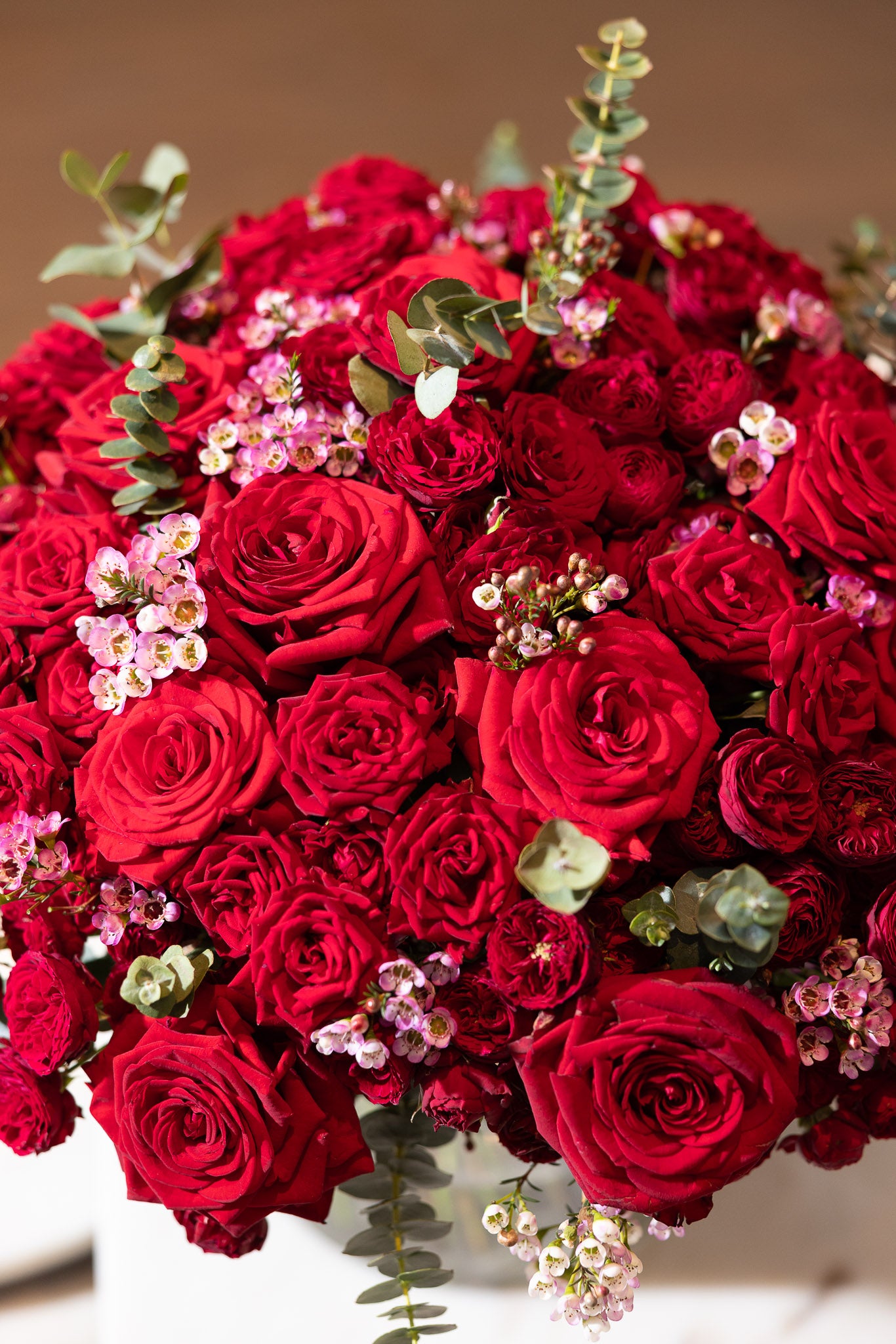 Crimson Reverie