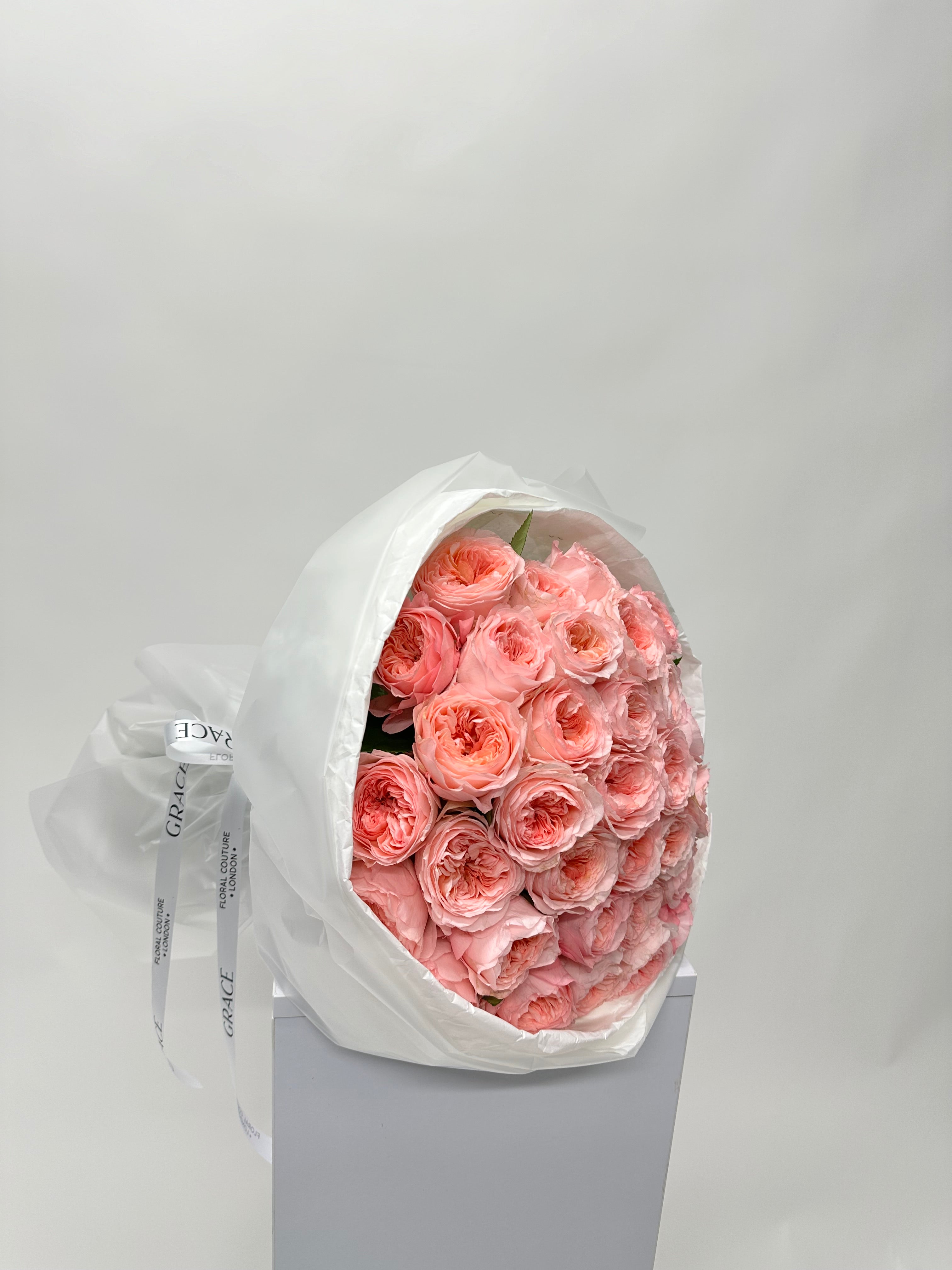 Roseate Embrace