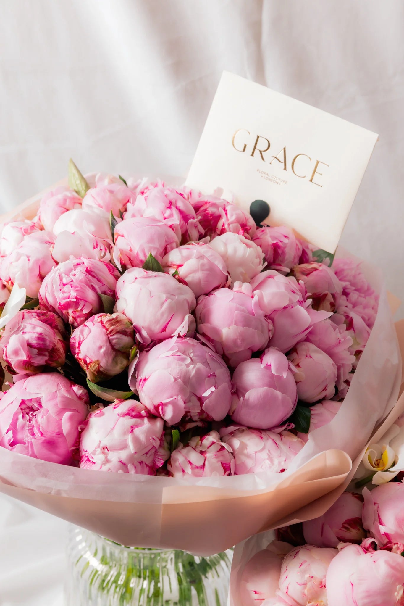 Classic Pink Peonies