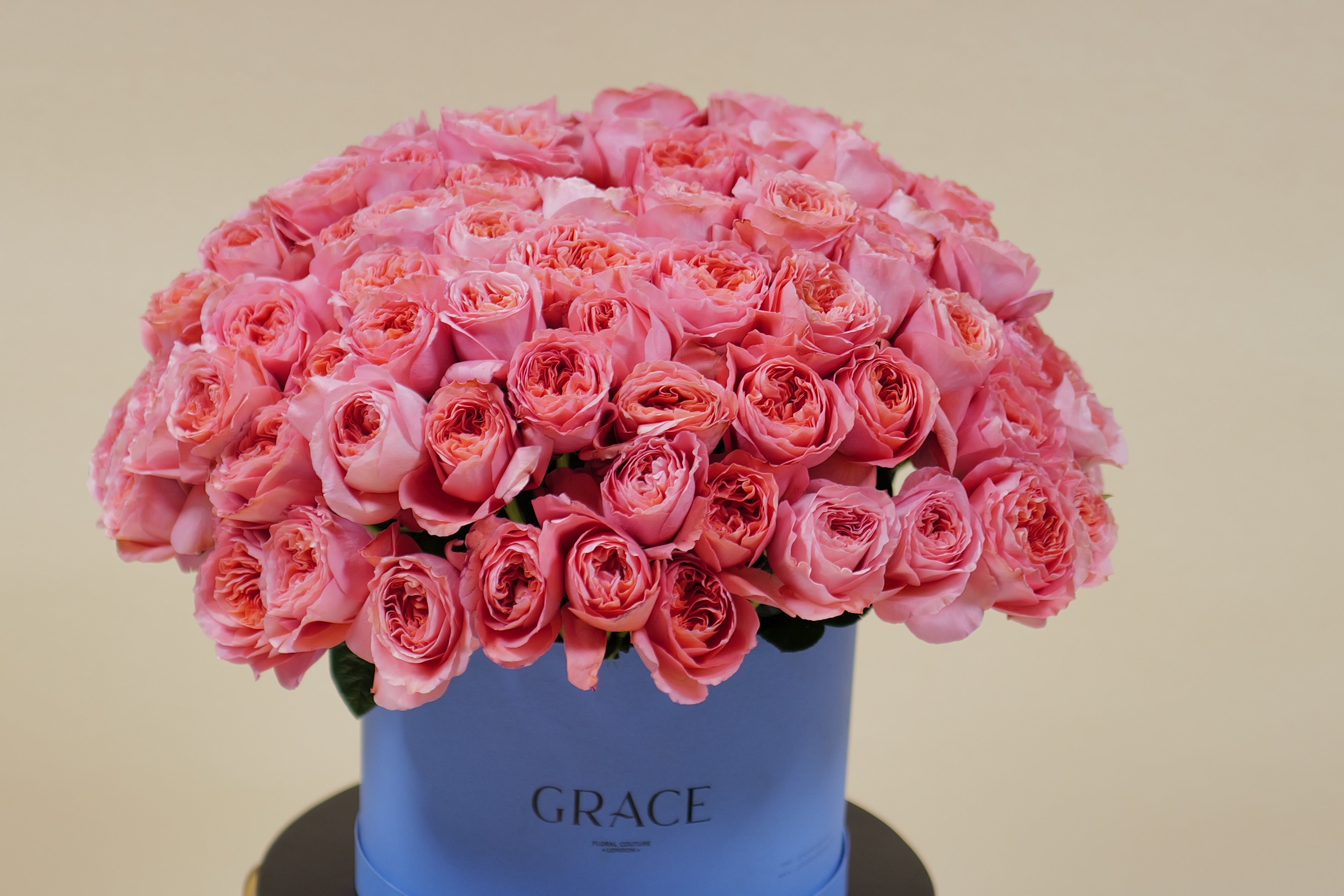 Pink fantasy (125stems)