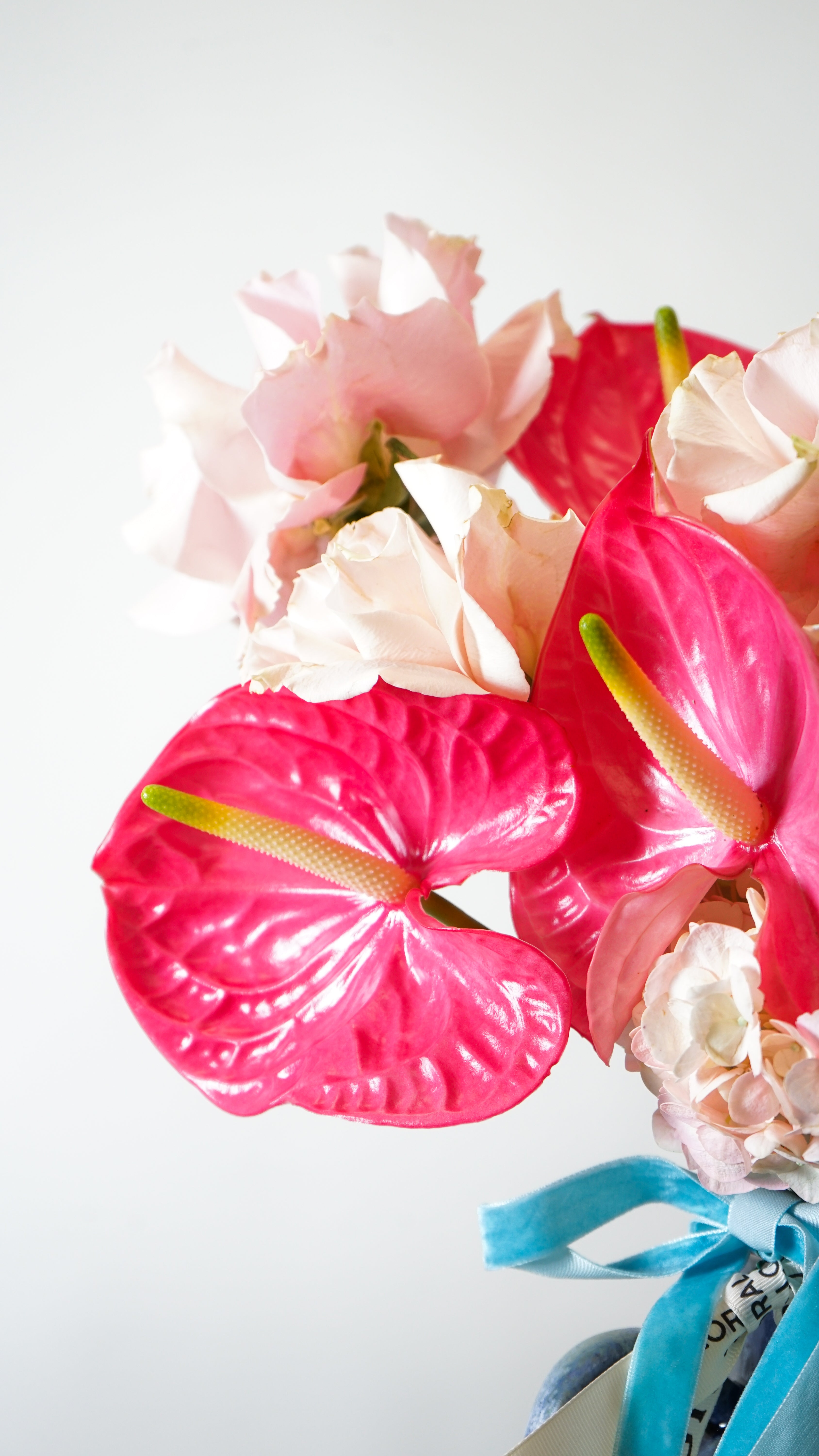 Pink Harmony