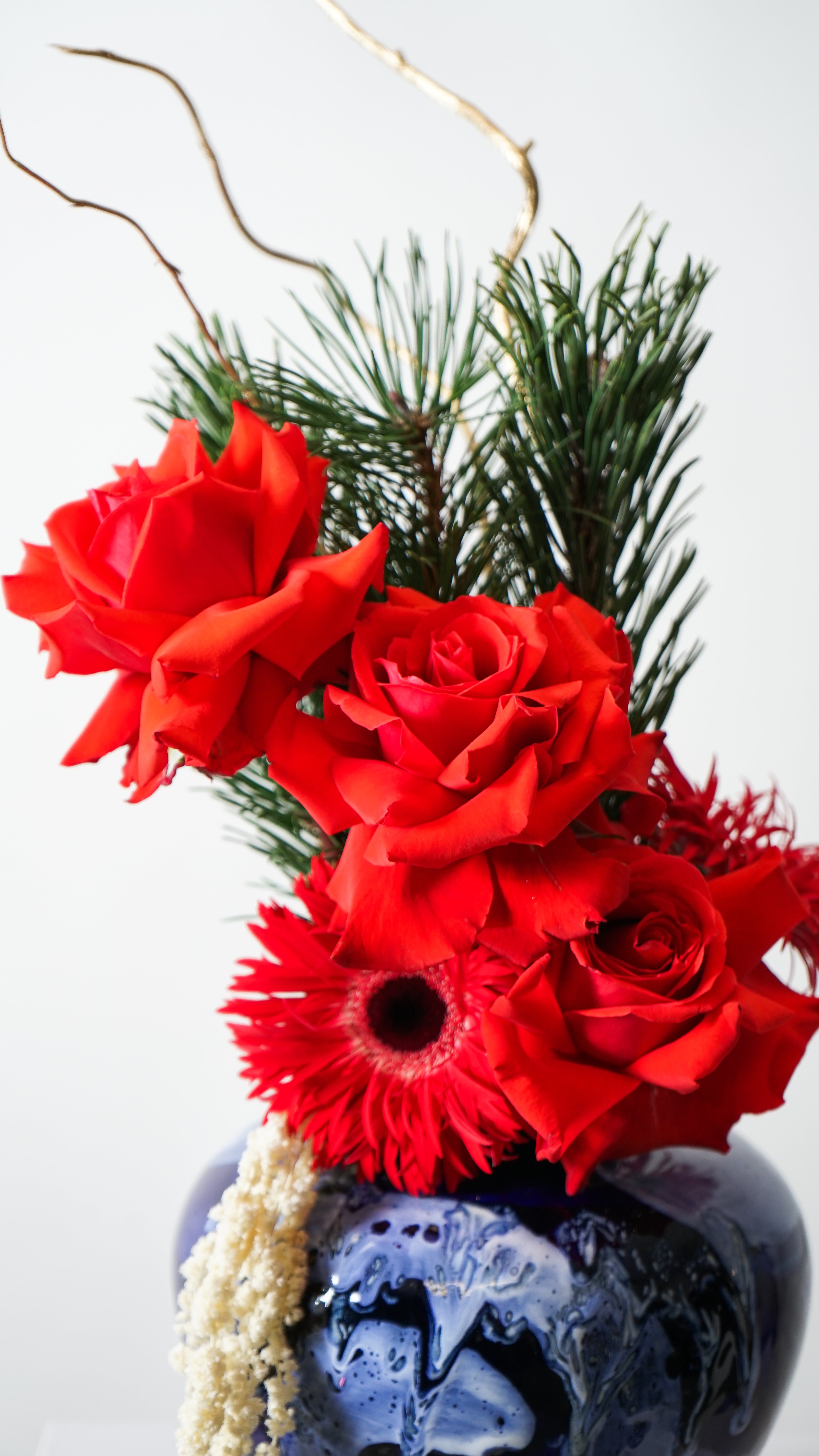 Prosperity's Embrace