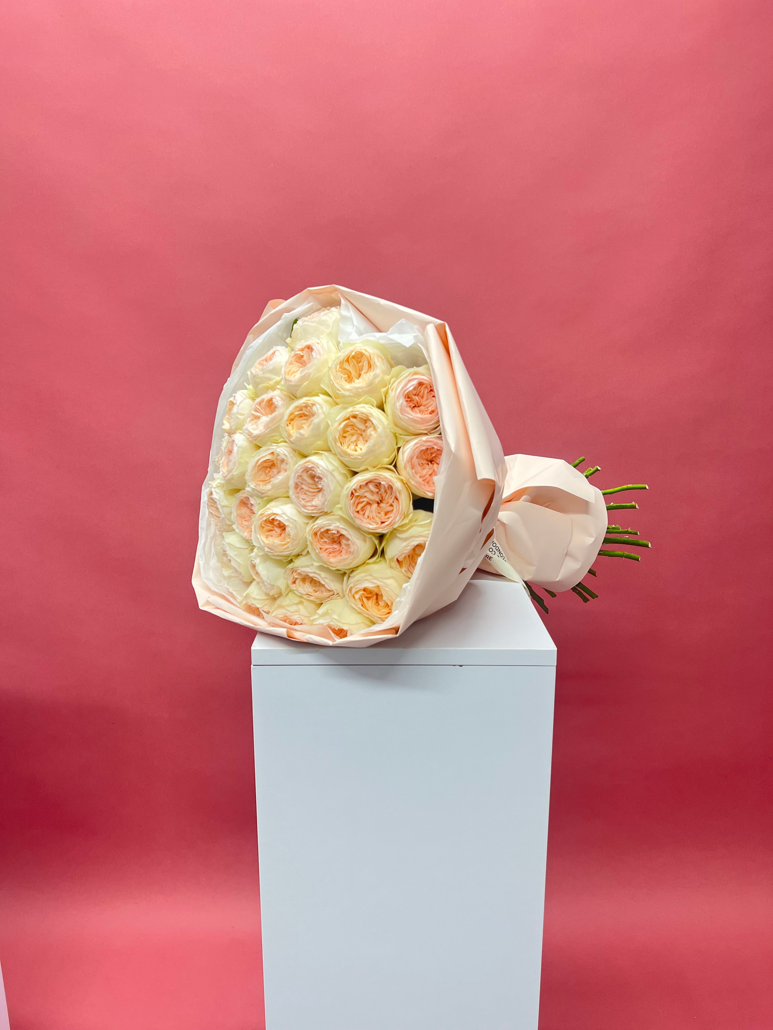 Soft Rose Embrace