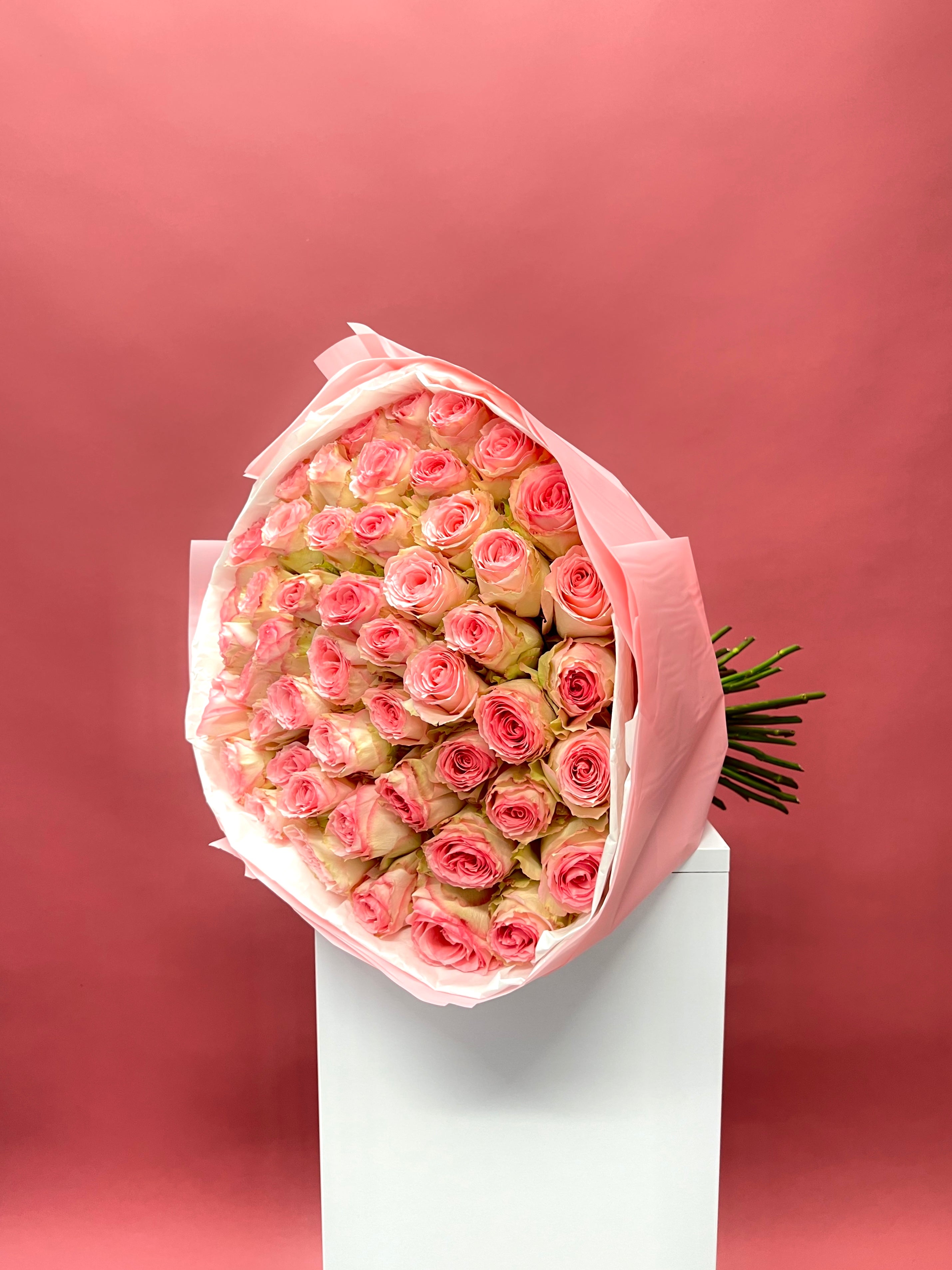 Pink Blossoms