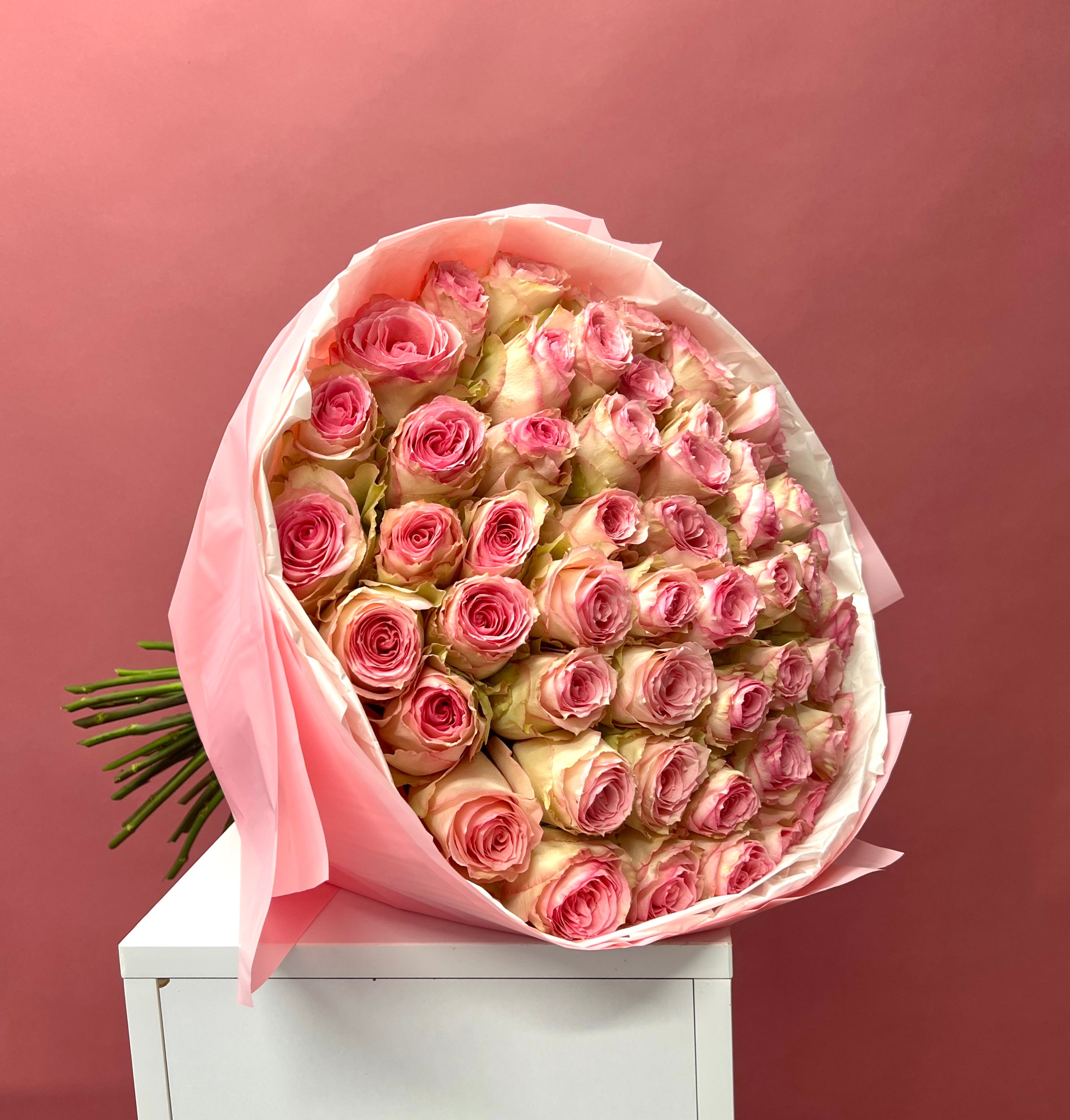Pink Blossoms