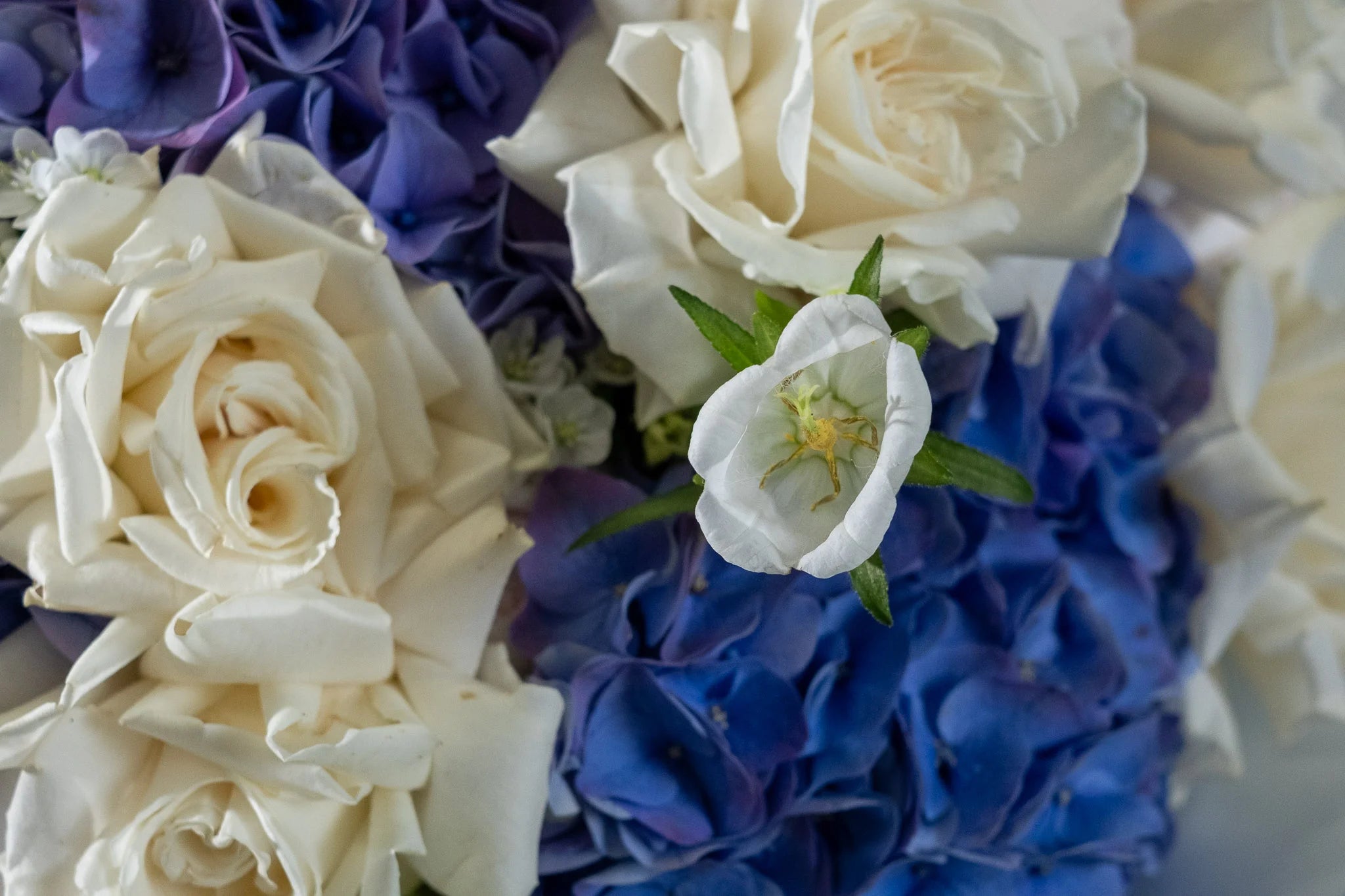 Forever in Bloom