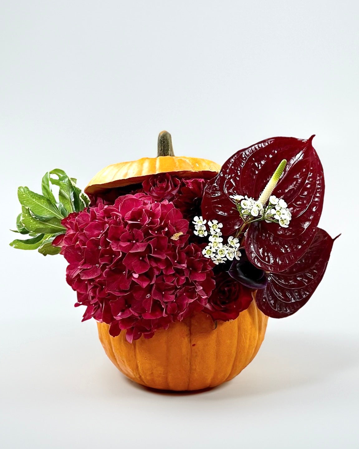 Velvet Pumpkin