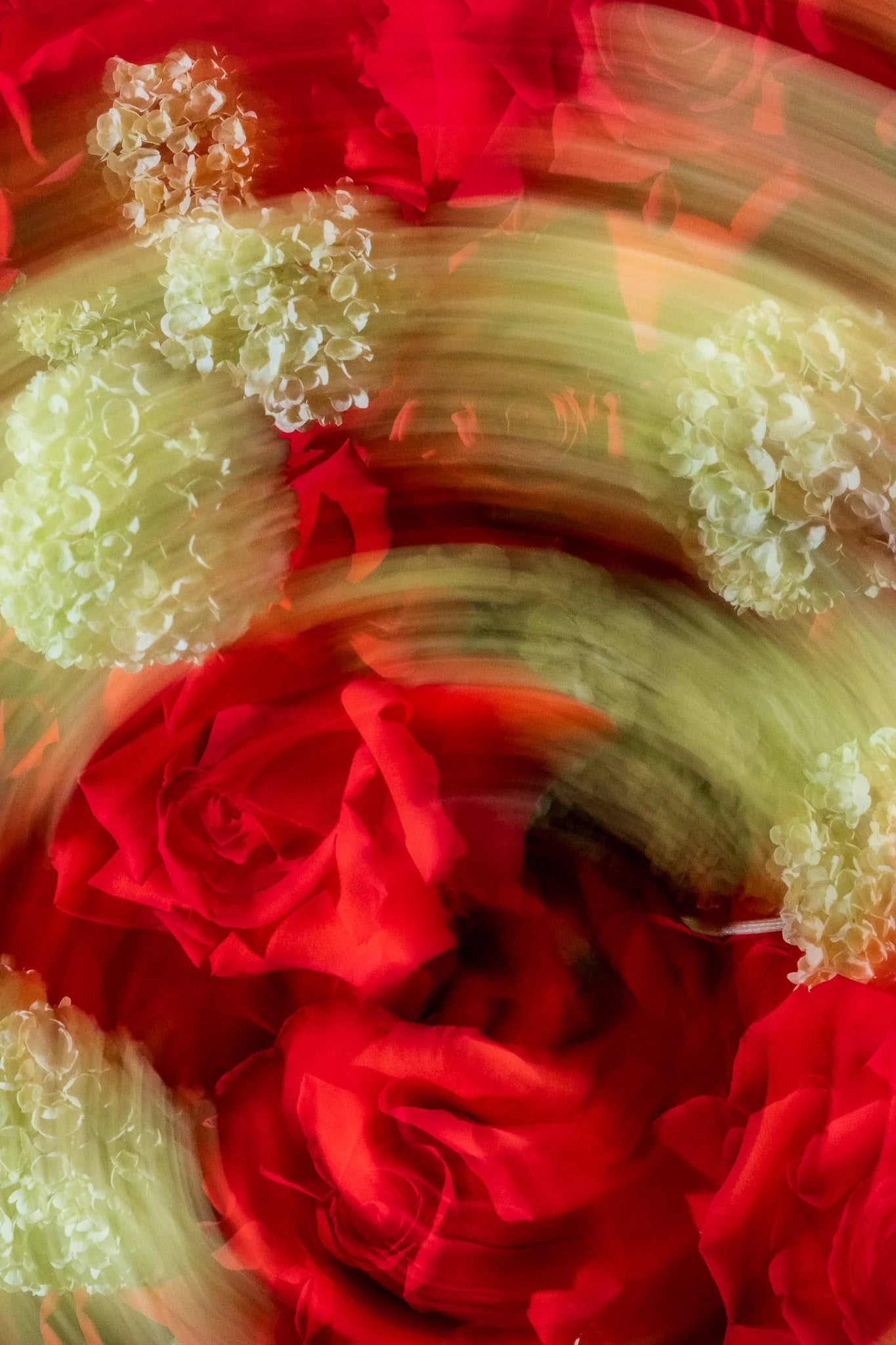 Jardin Velvet