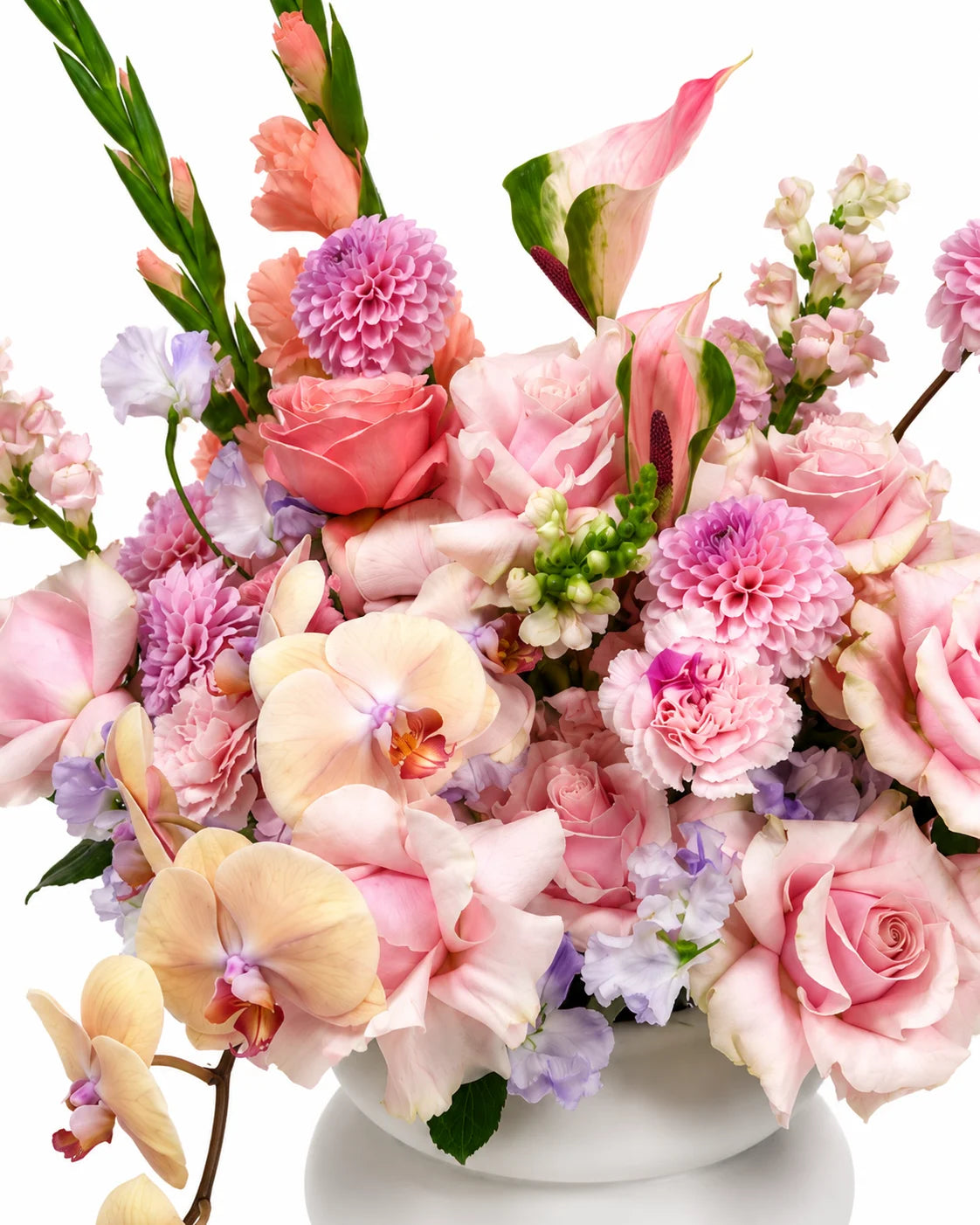 Wild petal