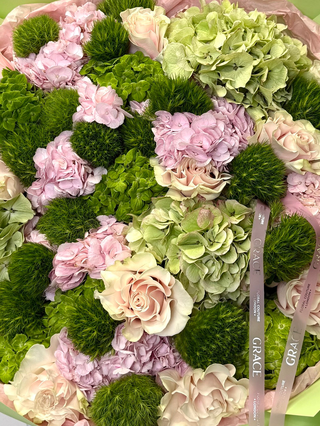 Verdant rosee