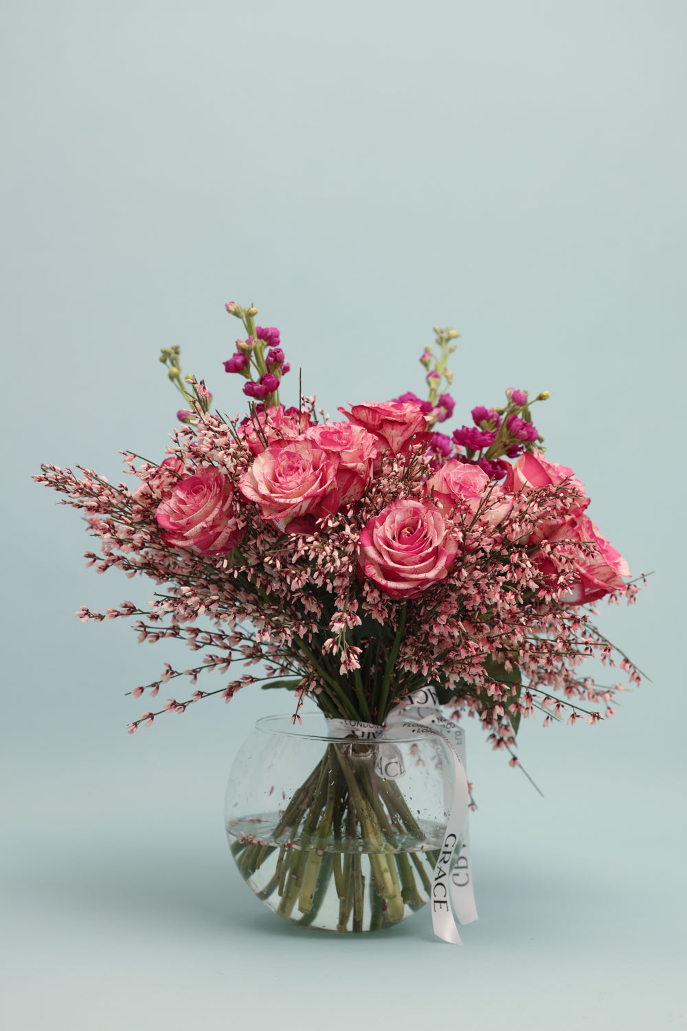Rose Pearl